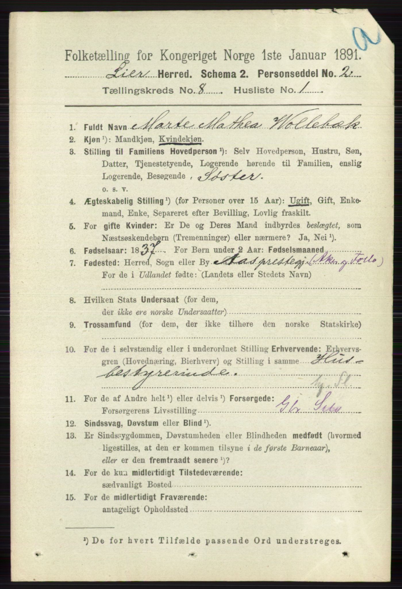 RA, 1891 census for 0626 Lier, 1891, p. 5062