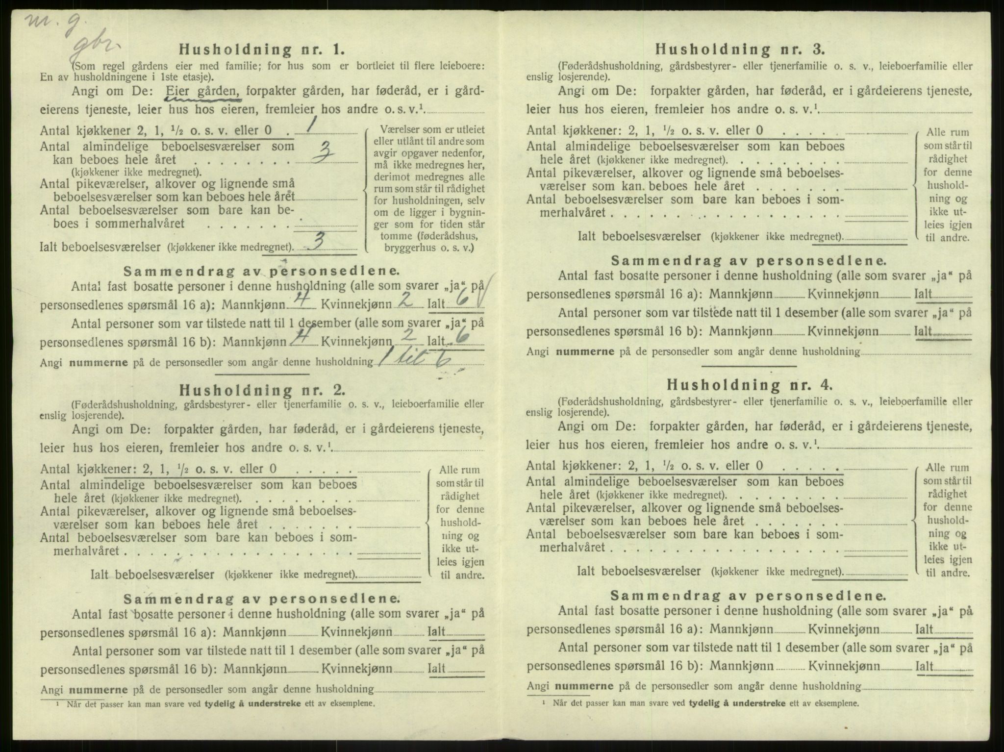 SAB, 1920 census for Hafslo, 1920, p. 1141