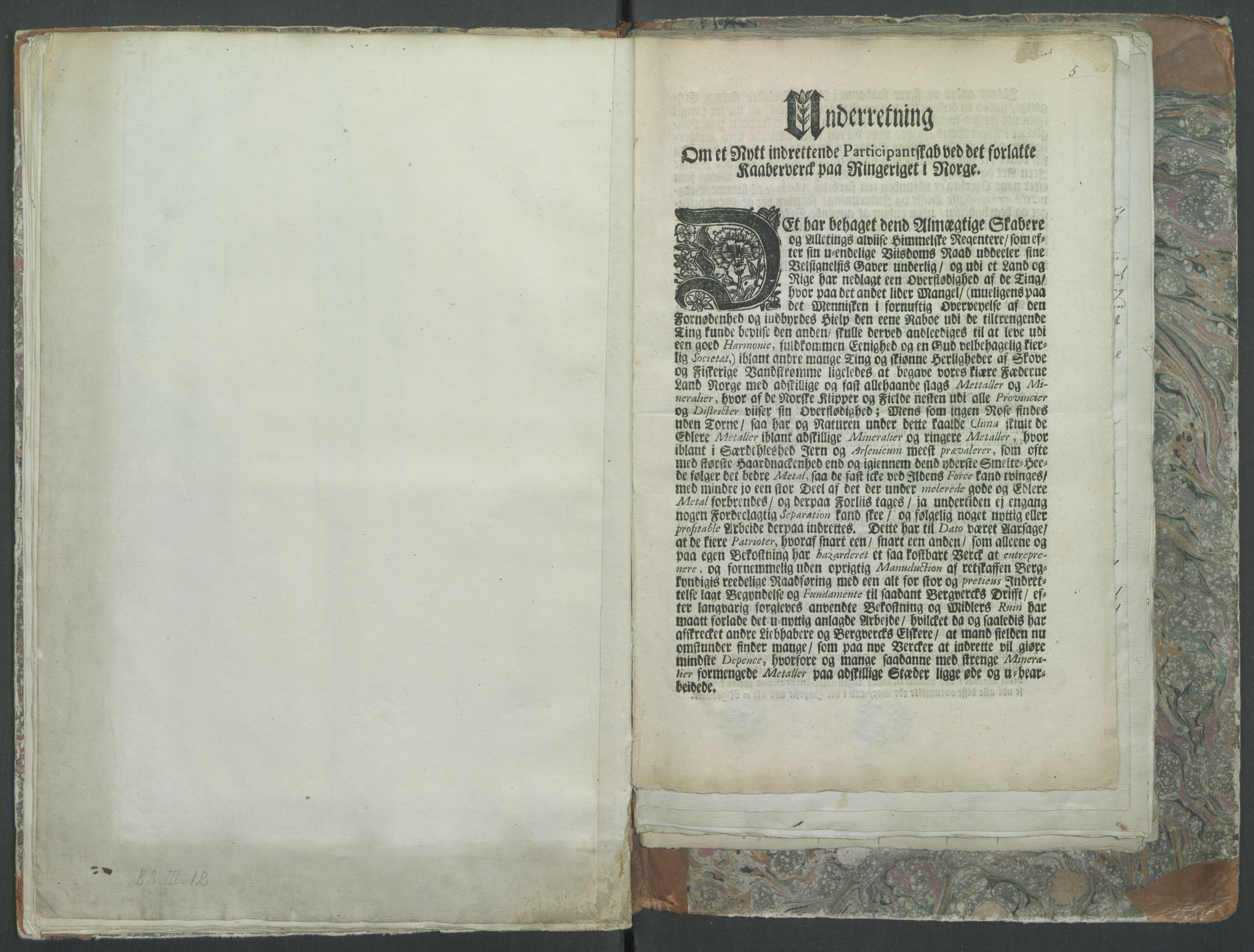 Brünnichs samling, RA/PA-0171/F/L0097: Machesens Mineralogiske Beskrivelse over Biergene i Bradsbergamt med Dertil hørende Carte og Sex Tegninger af Prospecter, 1730-1739, p. 5