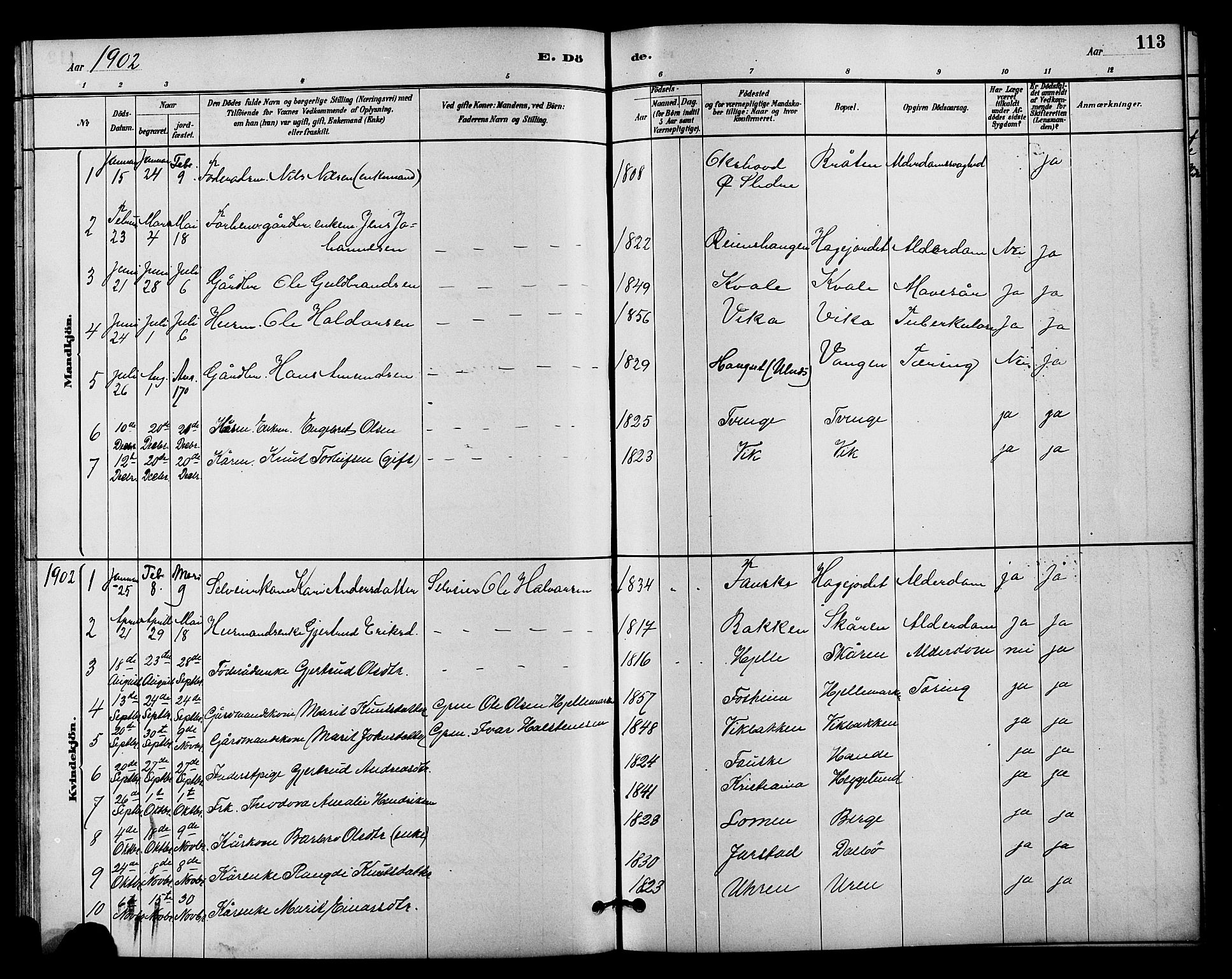 Vestre Slidre prestekontor, SAH/PREST-136/H/Ha/Hab/L0004: Parish register (copy) no. 4, 1881-1912, p. 113
