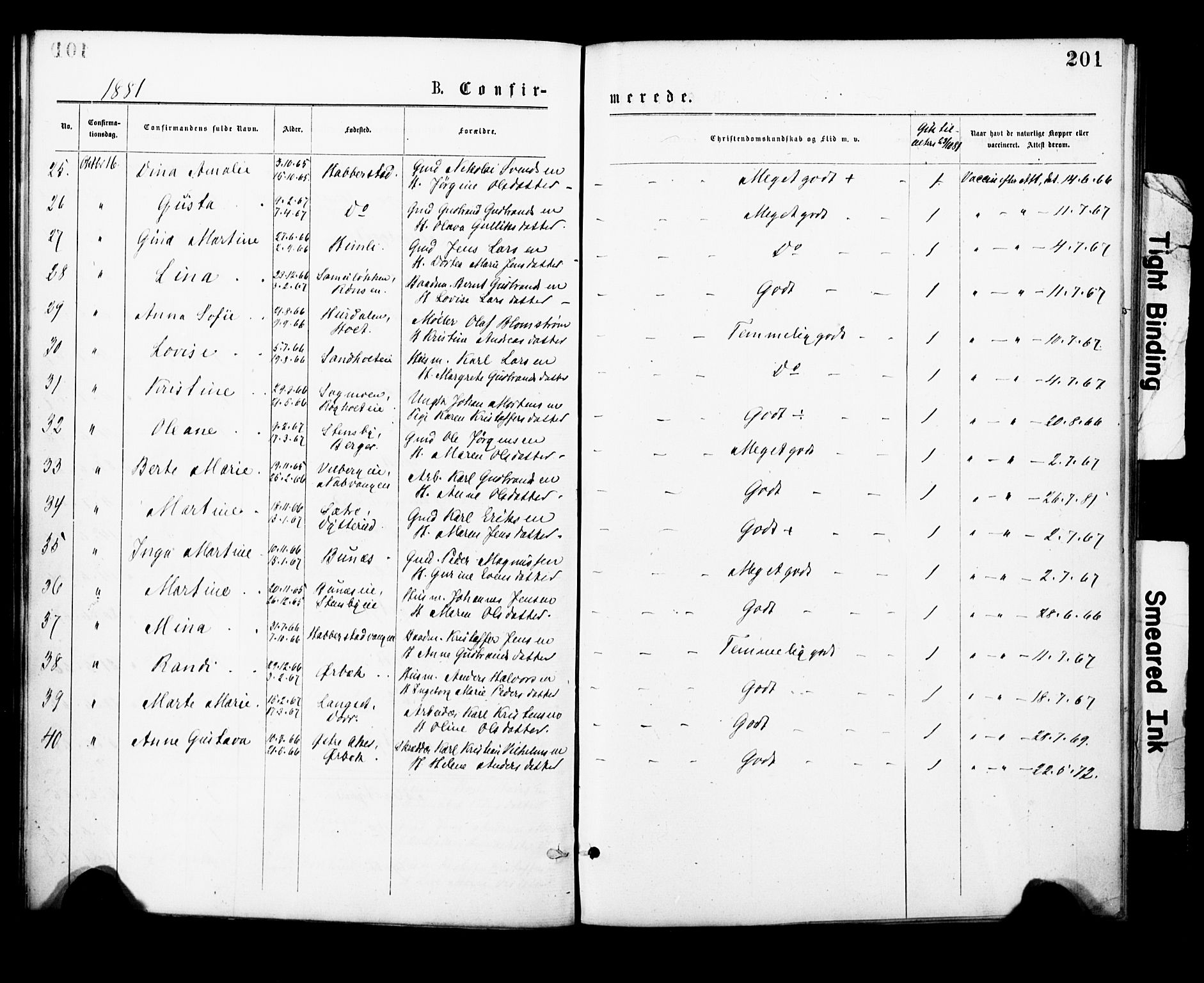 Eidsvoll prestekontor Kirkebøker, AV/SAO-A-10888/F/Fa/L0001: Parish register (official) no. I 1, 1877-1881, p. 201