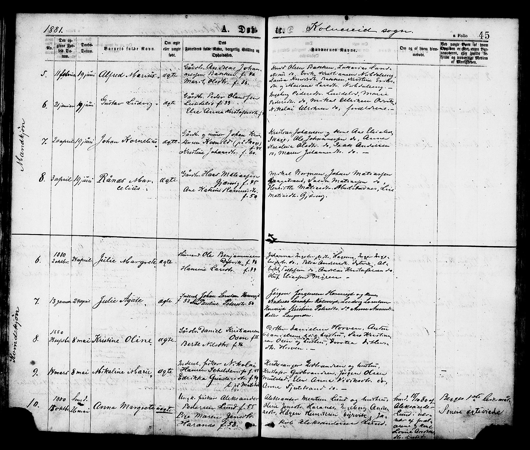 Ministerialprotokoller, klokkerbøker og fødselsregistre - Nord-Trøndelag, SAT/A-1458/780/L0642: Parish register (official) no. 780A07 /1, 1874-1885, p. 45