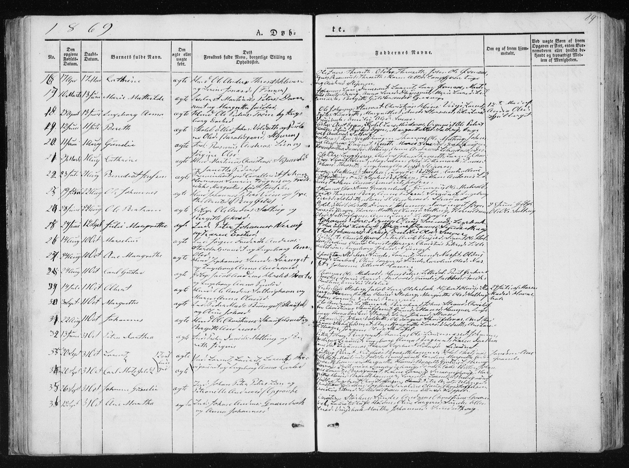 Ministerialprotokoller, klokkerbøker og fødselsregistre - Nord-Trøndelag, SAT/A-1458/733/L0323: Parish register (official) no. 733A02, 1843-1870, p. 89