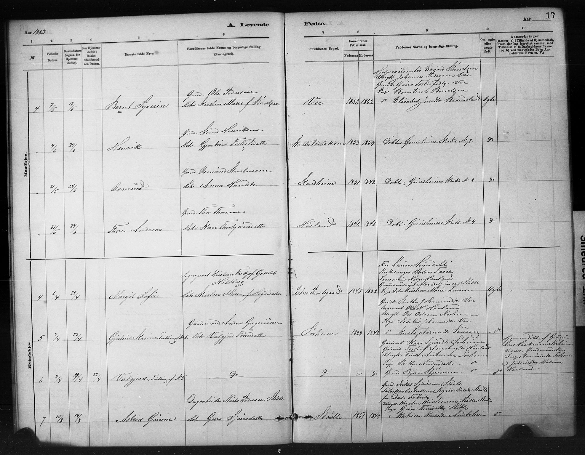 Etne sokneprestembete, SAB/A-75001/H/Hab: Parish register (copy) no. A 5, 1879-1896, p. 17