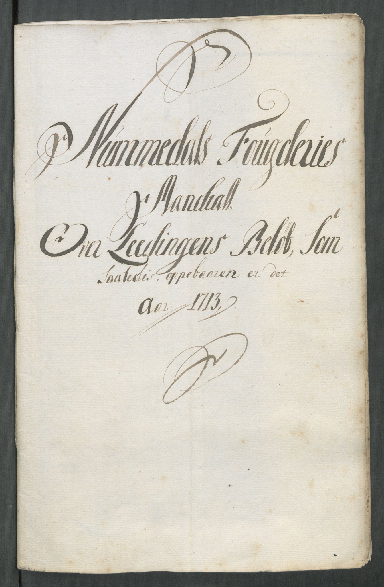 Rentekammeret inntil 1814, Reviderte regnskaper, Fogderegnskap, RA/EA-4092/R64/L4434: Fogderegnskap Namdal, 1713, p. 175