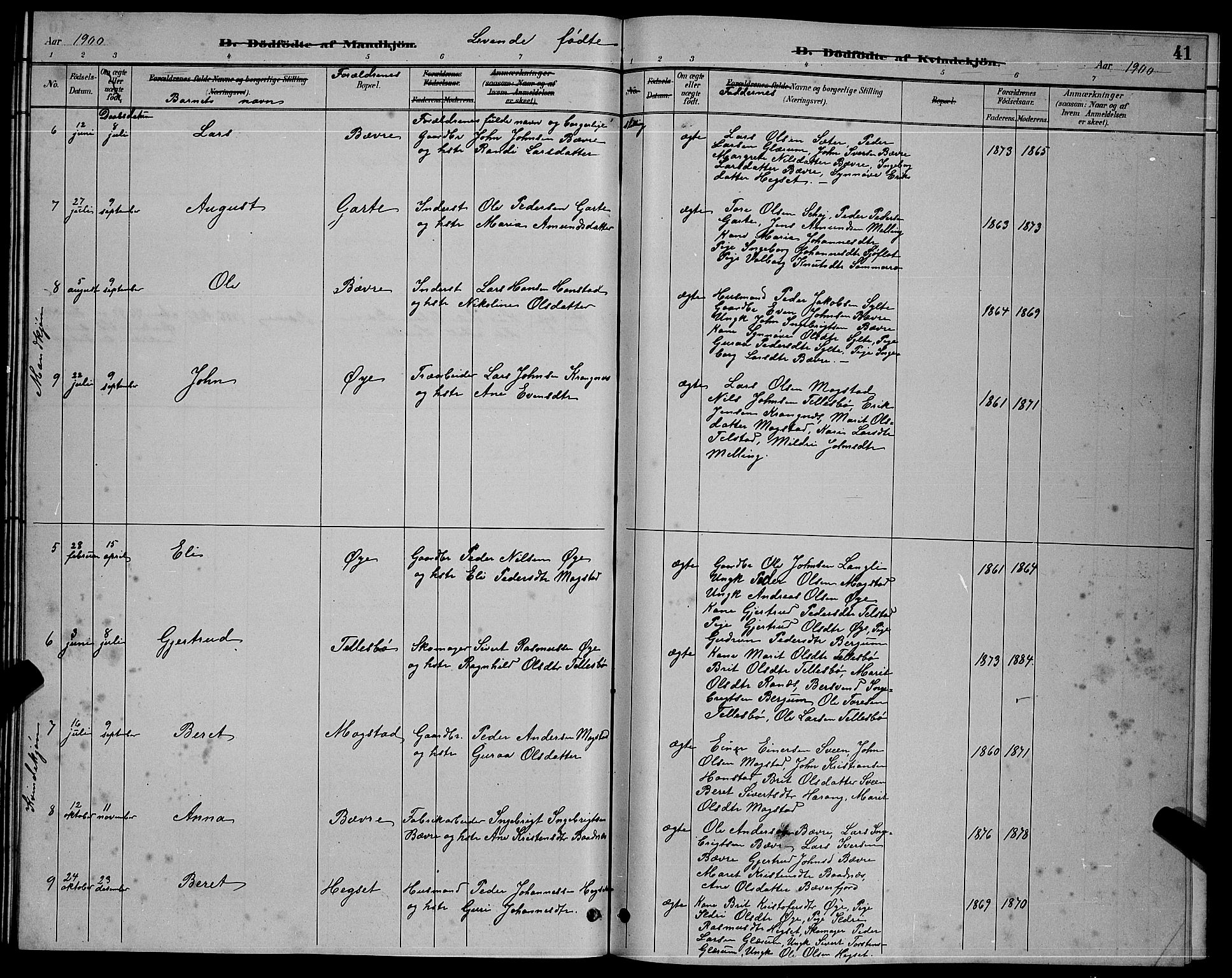 Ministerialprotokoller, klokkerbøker og fødselsregistre - Møre og Romsdal, AV/SAT-A-1454/595/L1052: Parish register (copy) no. 595C04, 1885-1900, p. 41