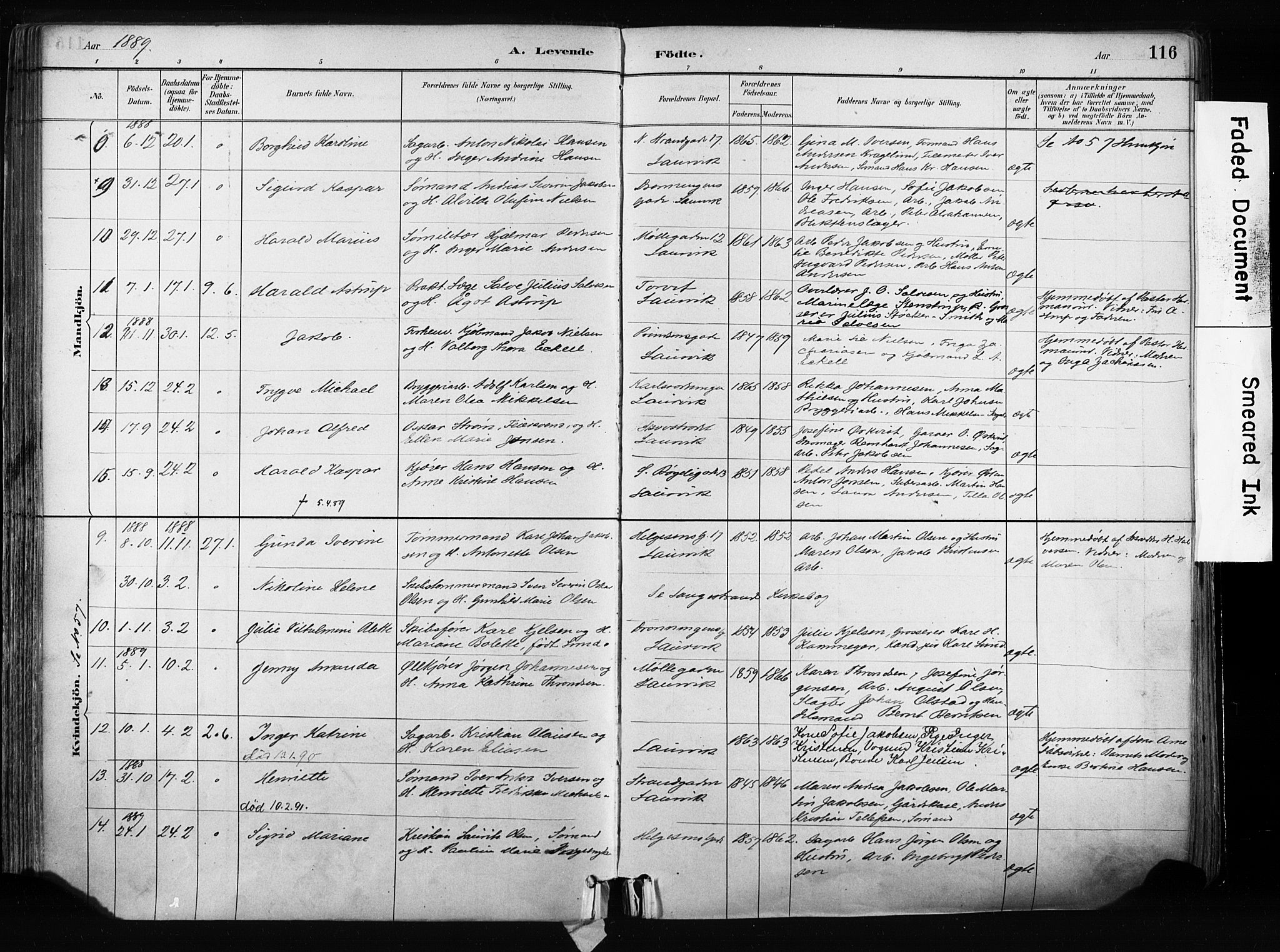 Larvik kirkebøker, AV/SAKO-A-352/F/Fa/L0009: Parish register (official) no. I 9, 1884-1904, p. 116