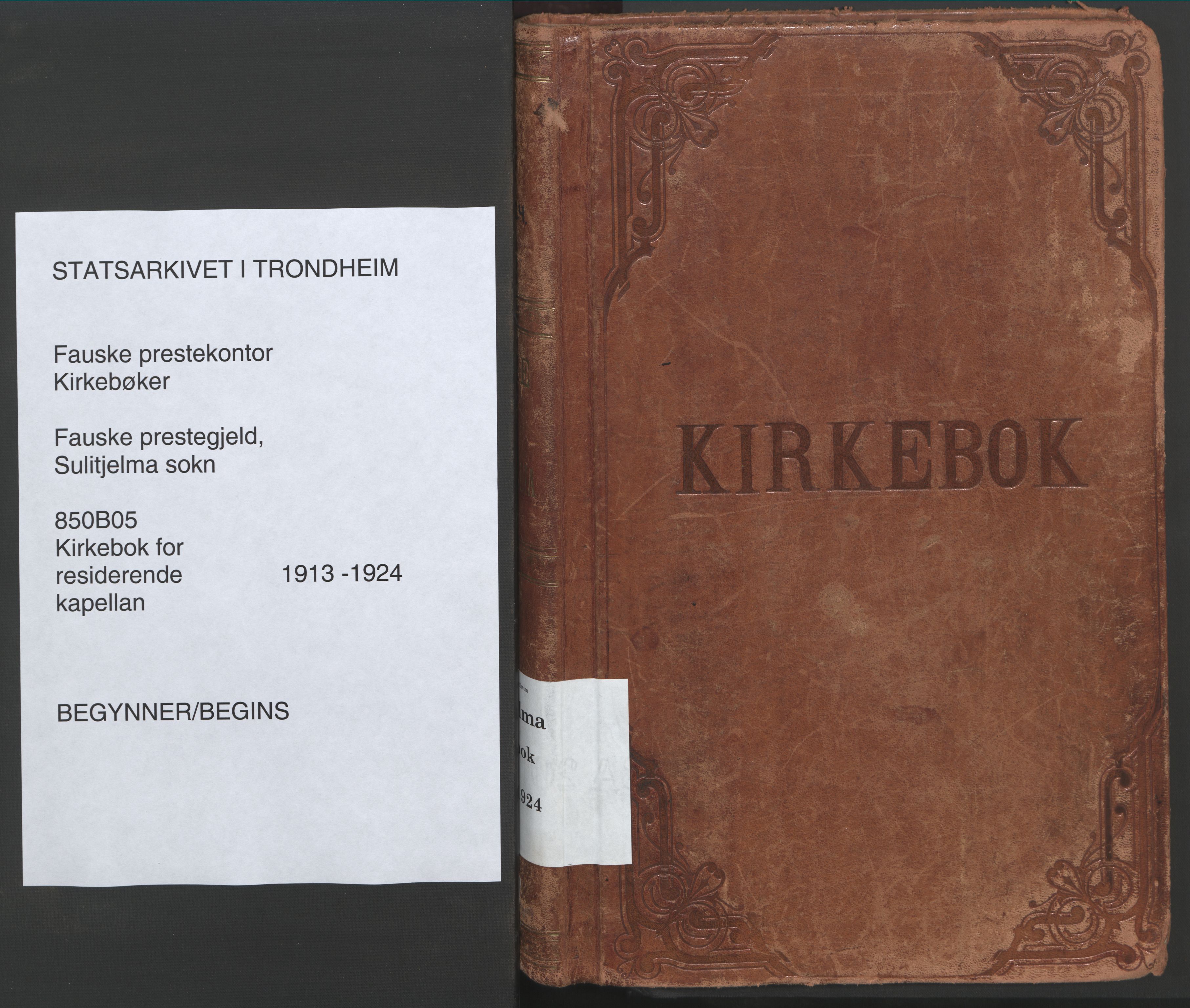 Ministerialprotokoller, klokkerbøker og fødselsregistre - Nordland, SAT/A-1459/850/L0715: Curate's parish register no. 850B05, 1913-1924