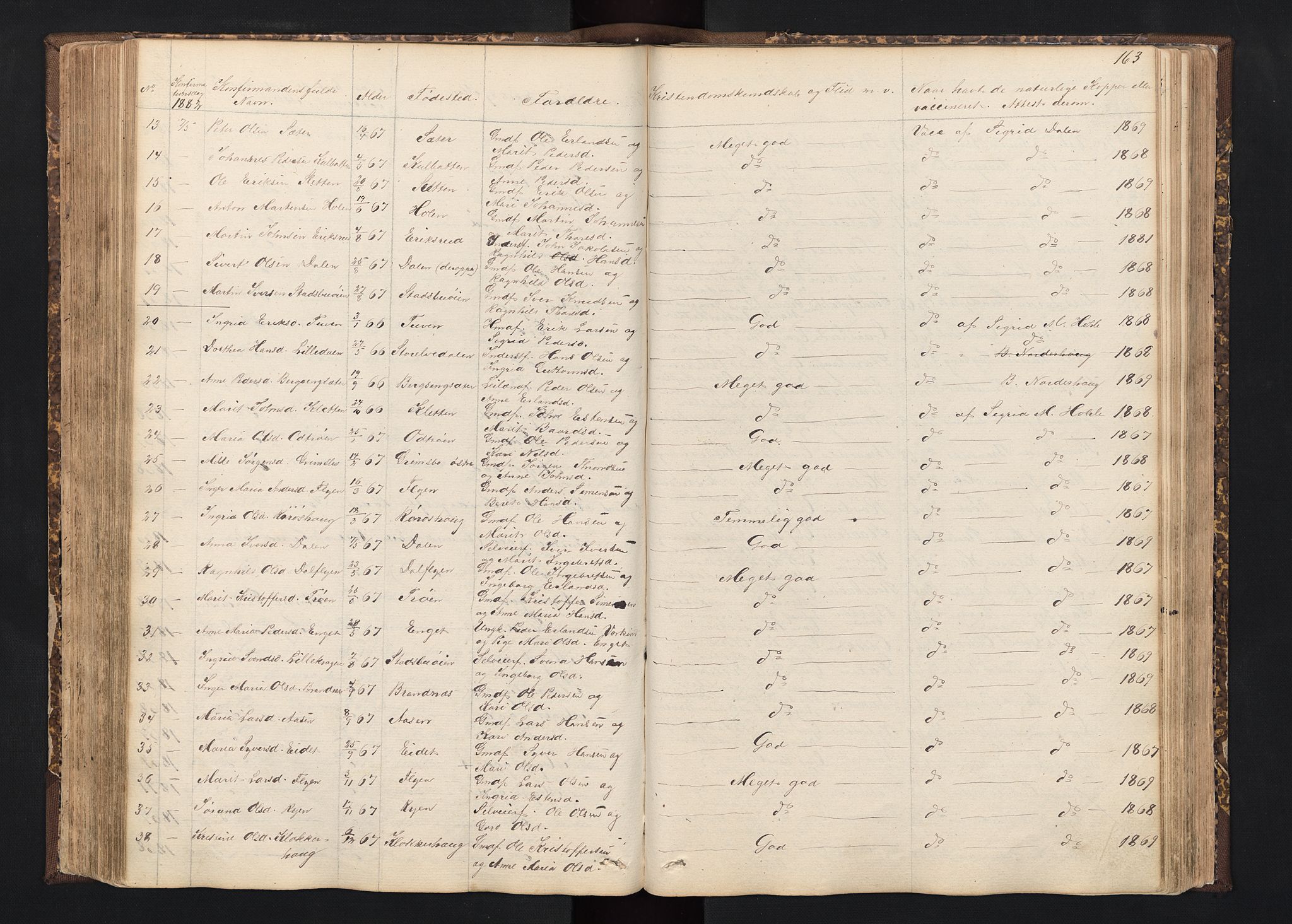 Alvdal prestekontor, SAH/PREST-060/H/Ha/Hab/L0001: Parish register (copy) no. 1, 1857-1893, p. 163