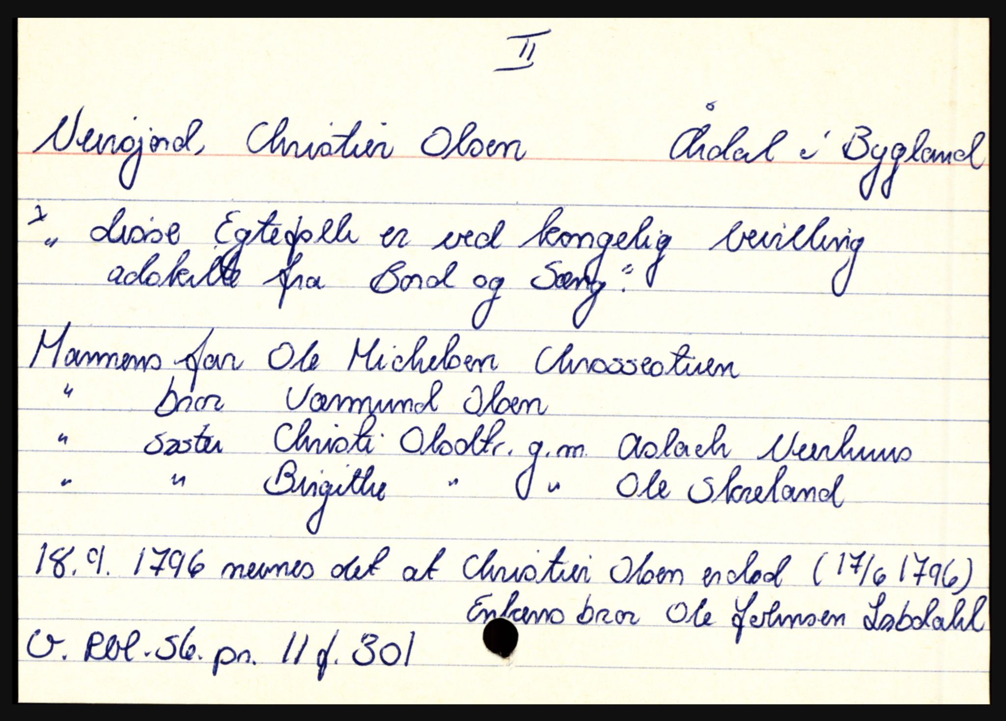 Setesdal sorenskriveri, AV/SAK-1221-0011/H, p. 9029