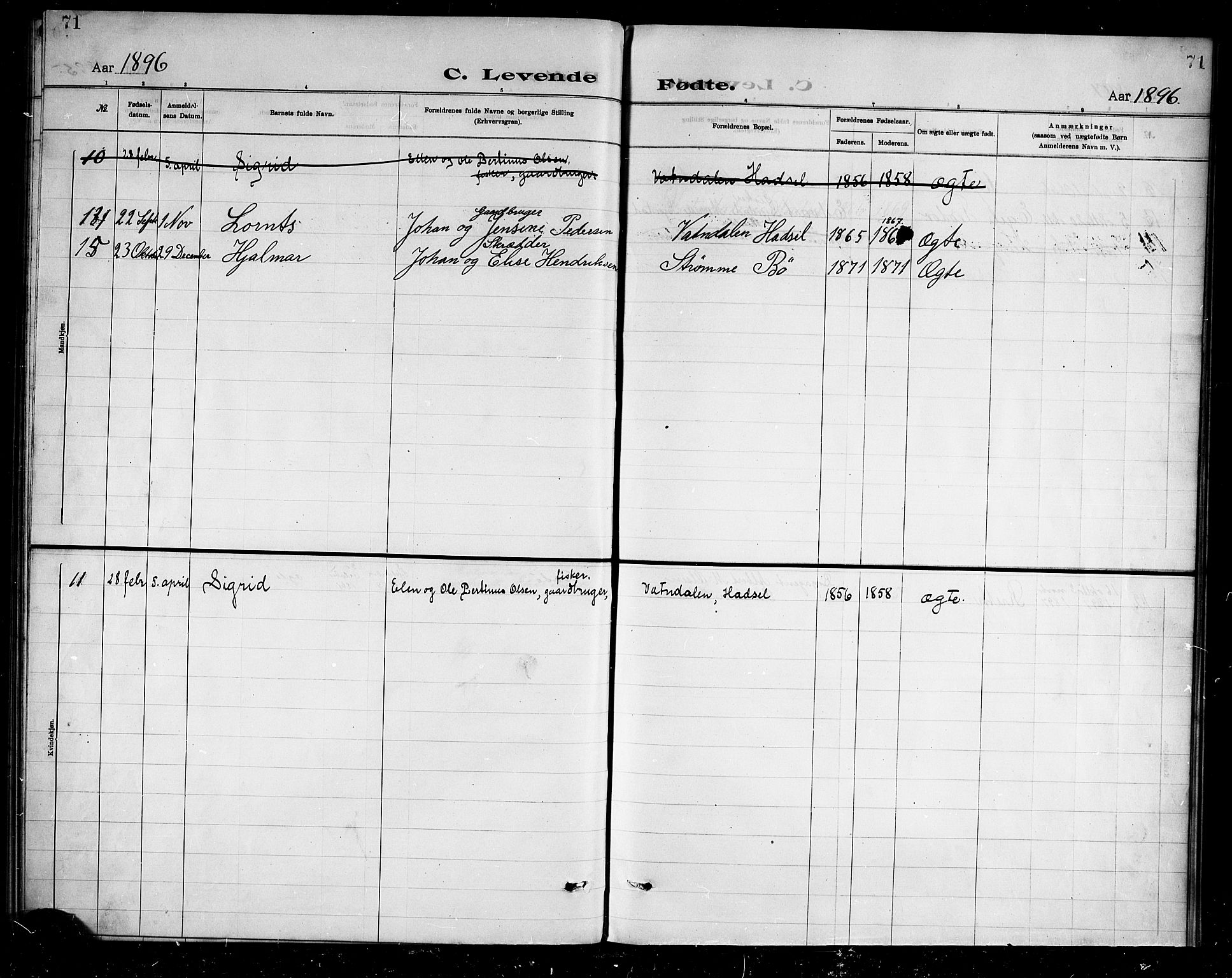 Ministerialprotokoller, klokkerbøker og fødselsregistre - Nordland, AV/SAT-A-1459/888/L1274: Dissenter register no. 888D01, 1889-1902, p. 71