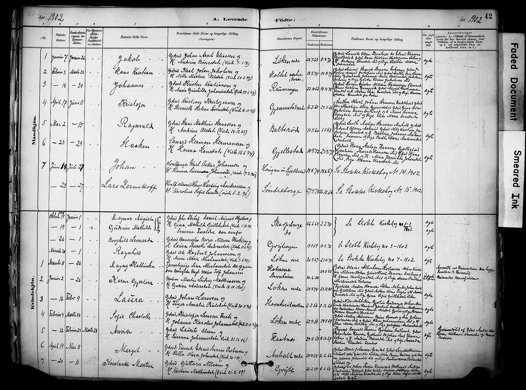 Stokke kirkebøker, AV/SAKO-A-320/F/Fb/L0001: Parish register (official) no. II 1, 1884-1910, p. 42
