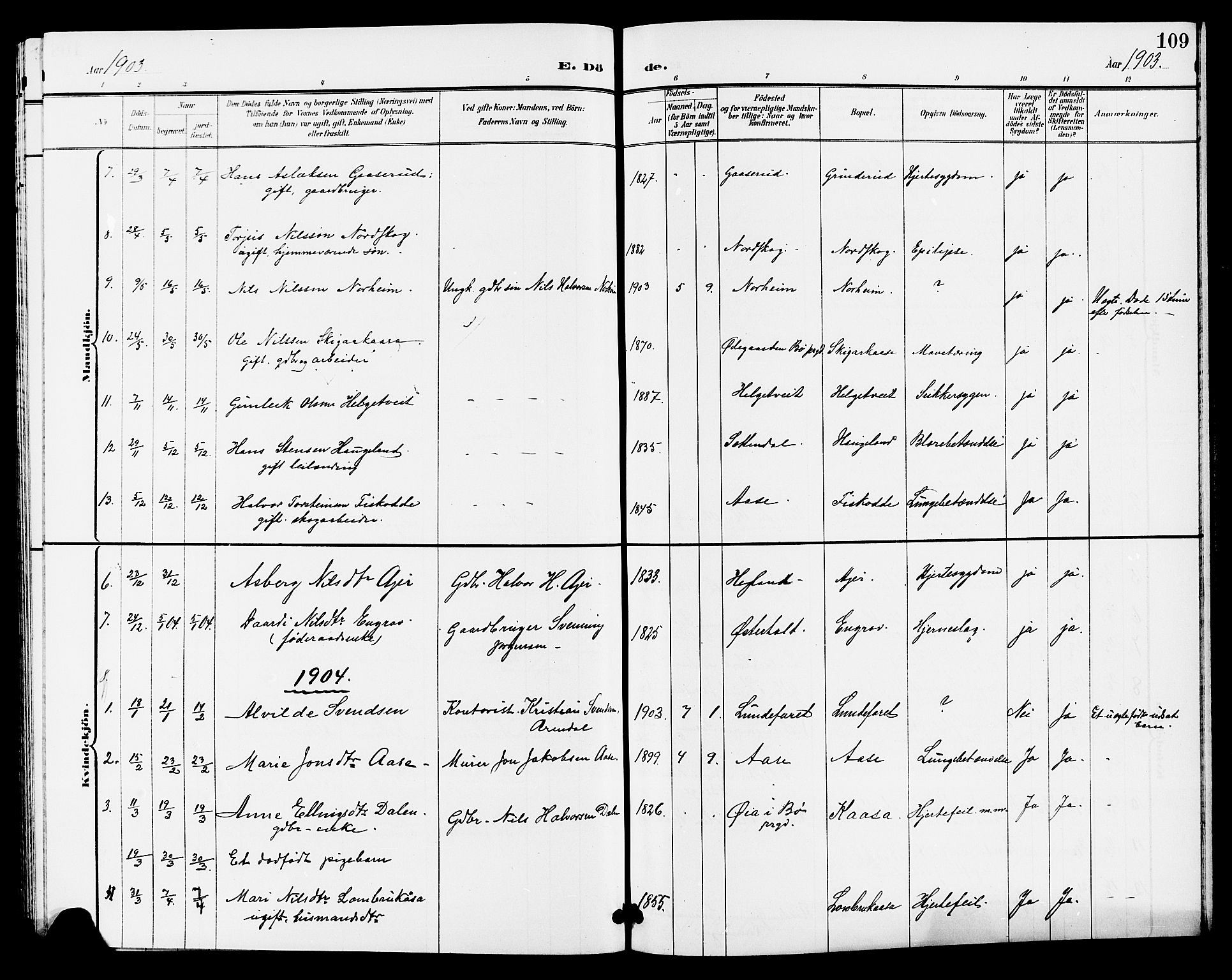 Lunde kirkebøker, SAKO/A-282/G/Ga/L0003: Parish register (copy) no. I 3, 1896-1905, p. 109