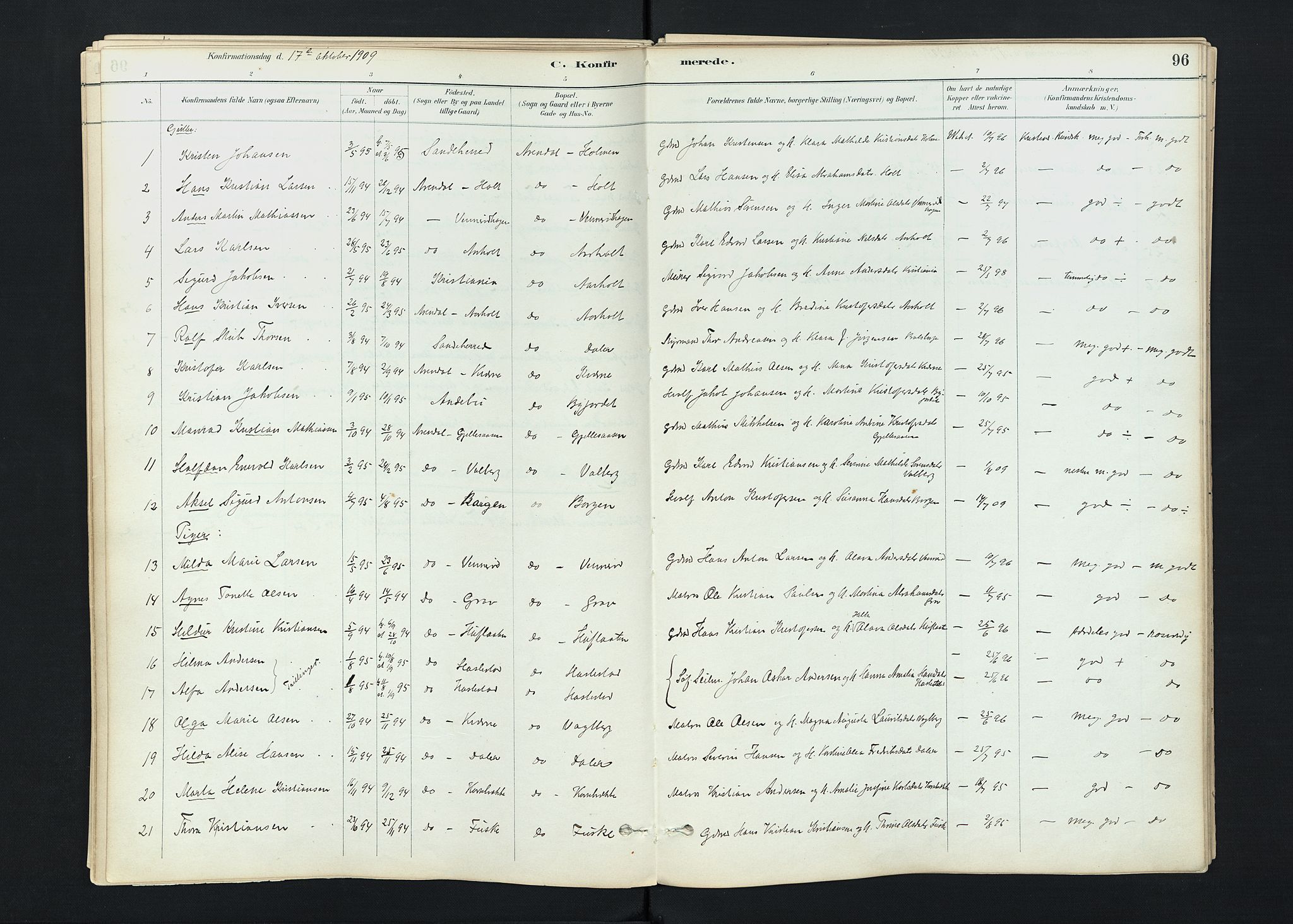 Stokke kirkebøker, SAKO/A-320/F/Fc/L0001: Parish register (official) no. III 1, 1884-1910, p. 96