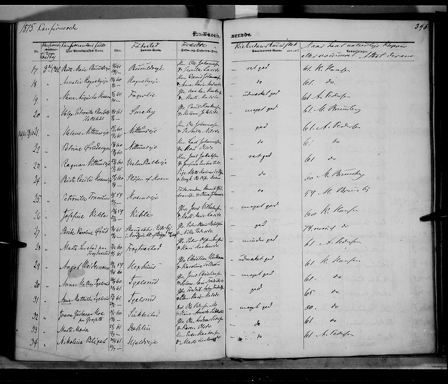 Østre Toten prestekontor, SAH/PREST-104/H/Ha/Haa/L0005: Parish register (official) no. 5, 1866-1877, p. 396