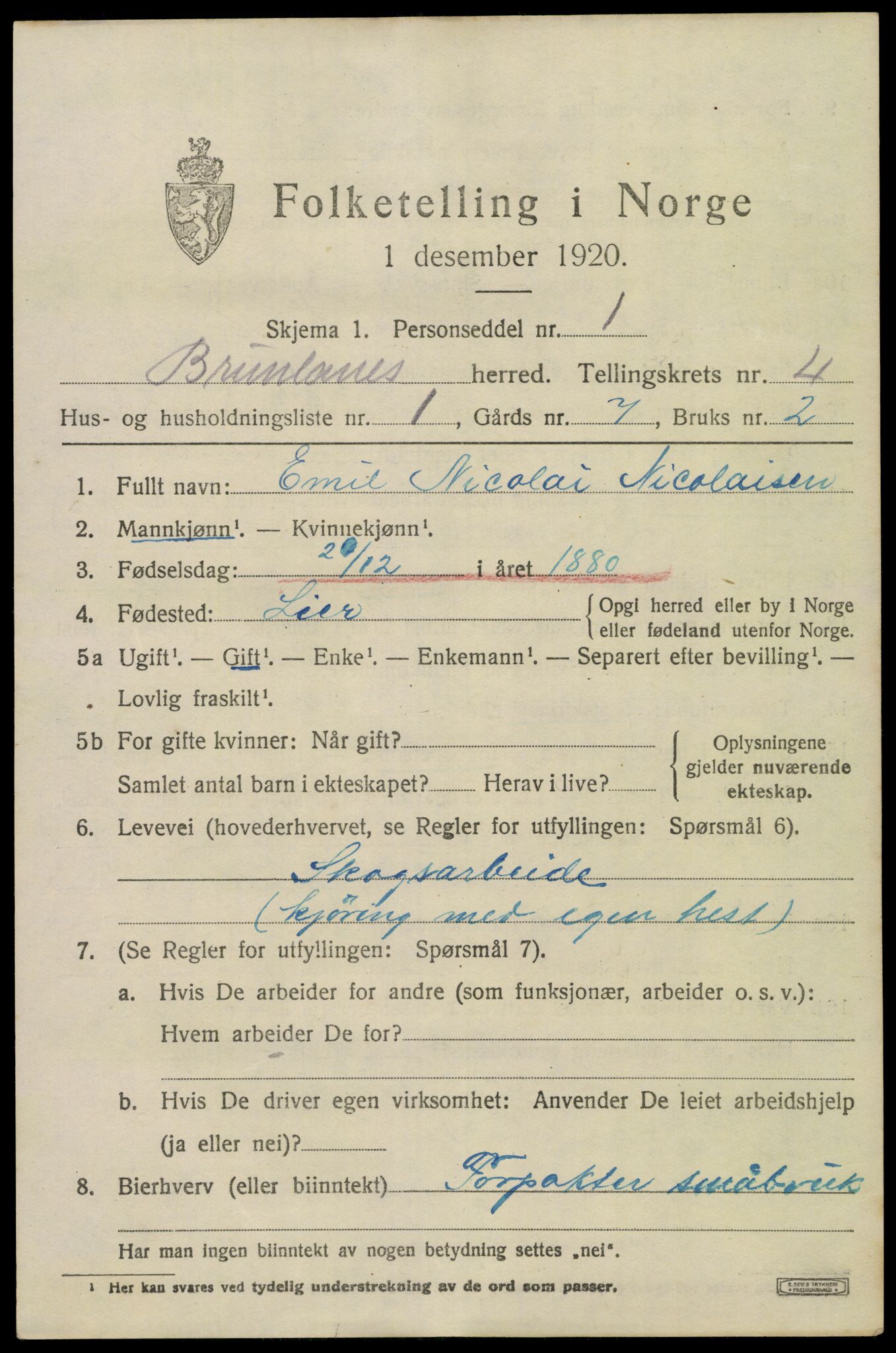 SAKO, 1920 census for Brunlanes, 1920, p. 6115