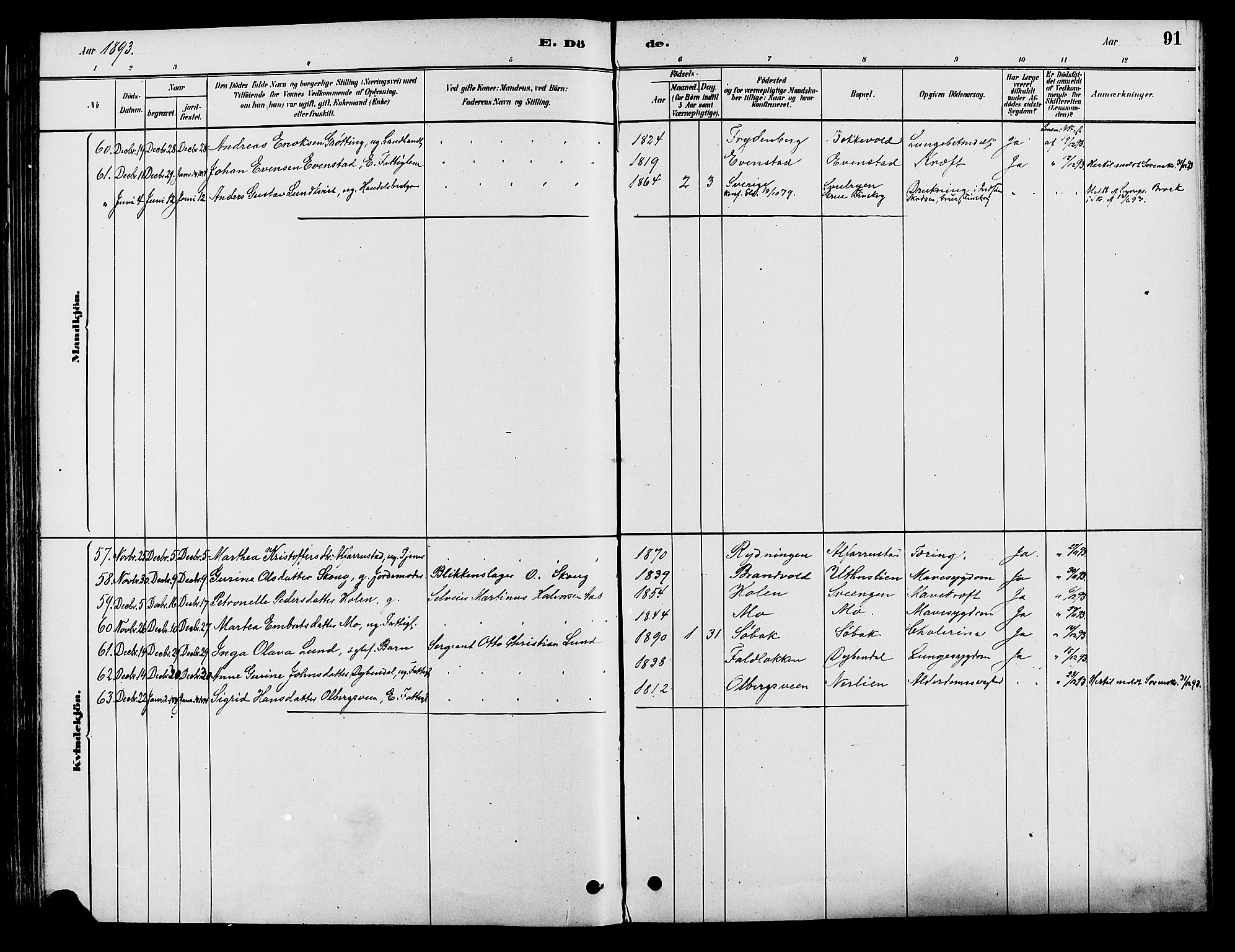 Elverum prestekontor, SAH/PREST-044/H/Ha/Haa/L0012: Parish register (official) no. 12, 1880-1893, p. 91