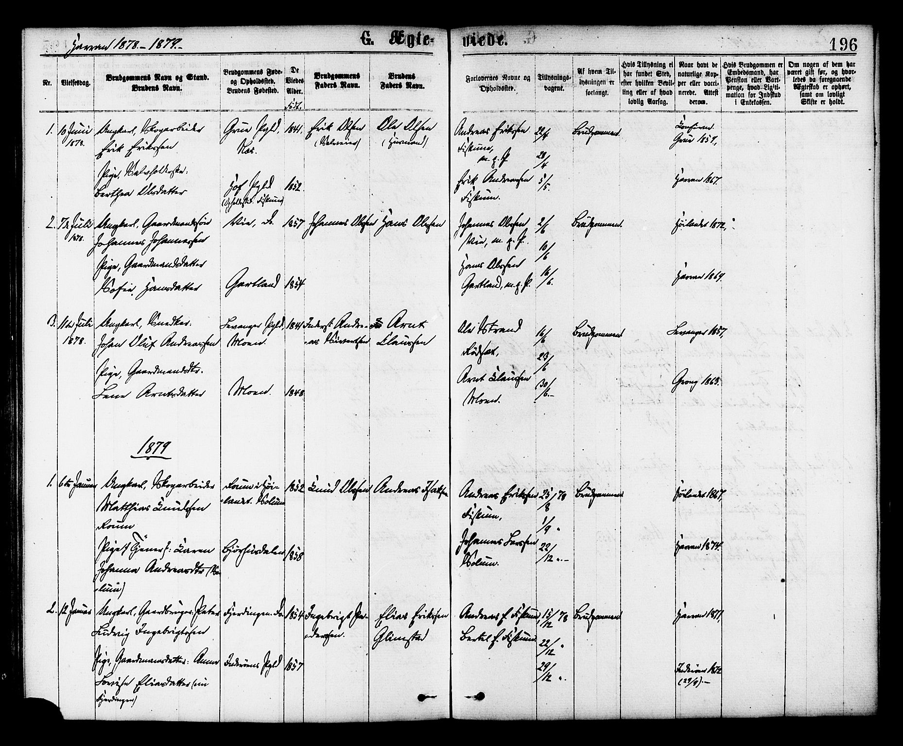Ministerialprotokoller, klokkerbøker og fødselsregistre - Nord-Trøndelag, SAT/A-1458/758/L0516: Parish register (official) no. 758A03 /3, 1869-1879, p. 196