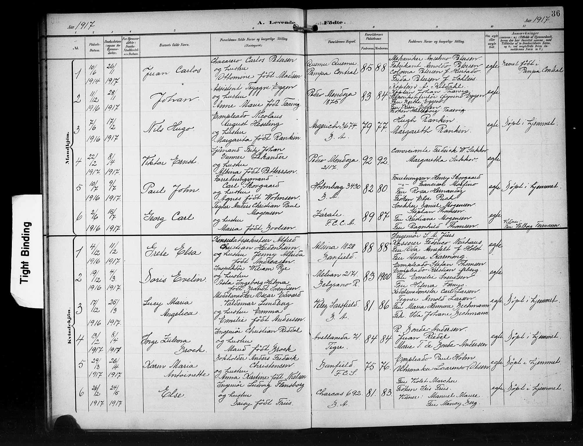 Den norske sjømannsmisjon i utlandet/Syd-Amerika (Buenos Aires m.fl.), AV/SAB-SAB/PA-0118/H/Ha/L0002: Parish register (official) no. A 2, 1899-1919, p. 36