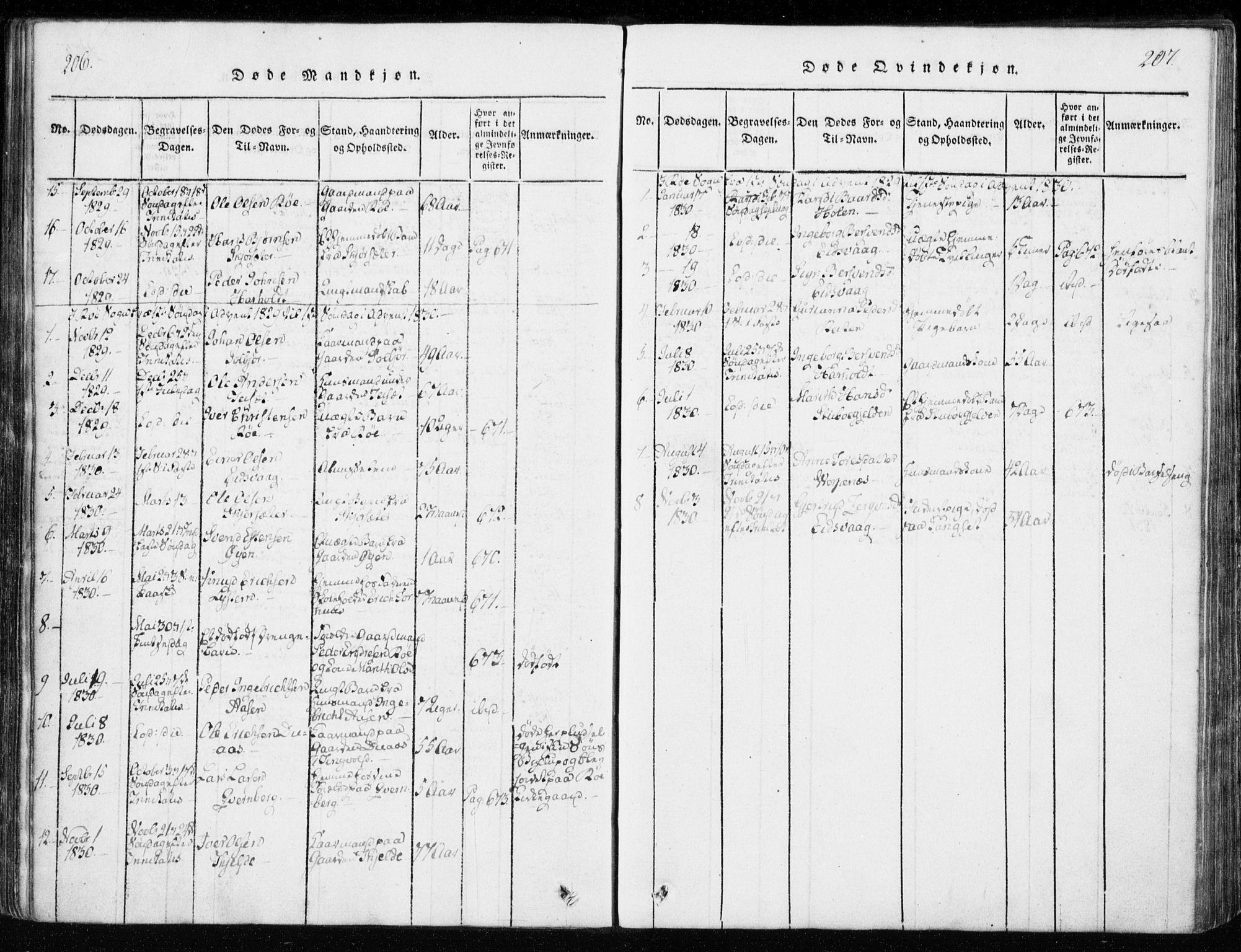 Ministerialprotokoller, klokkerbøker og fødselsregistre - Møre og Romsdal, AV/SAT-A-1454/551/L0623: Parish register (official) no. 551A03, 1818-1831, p. 206-207