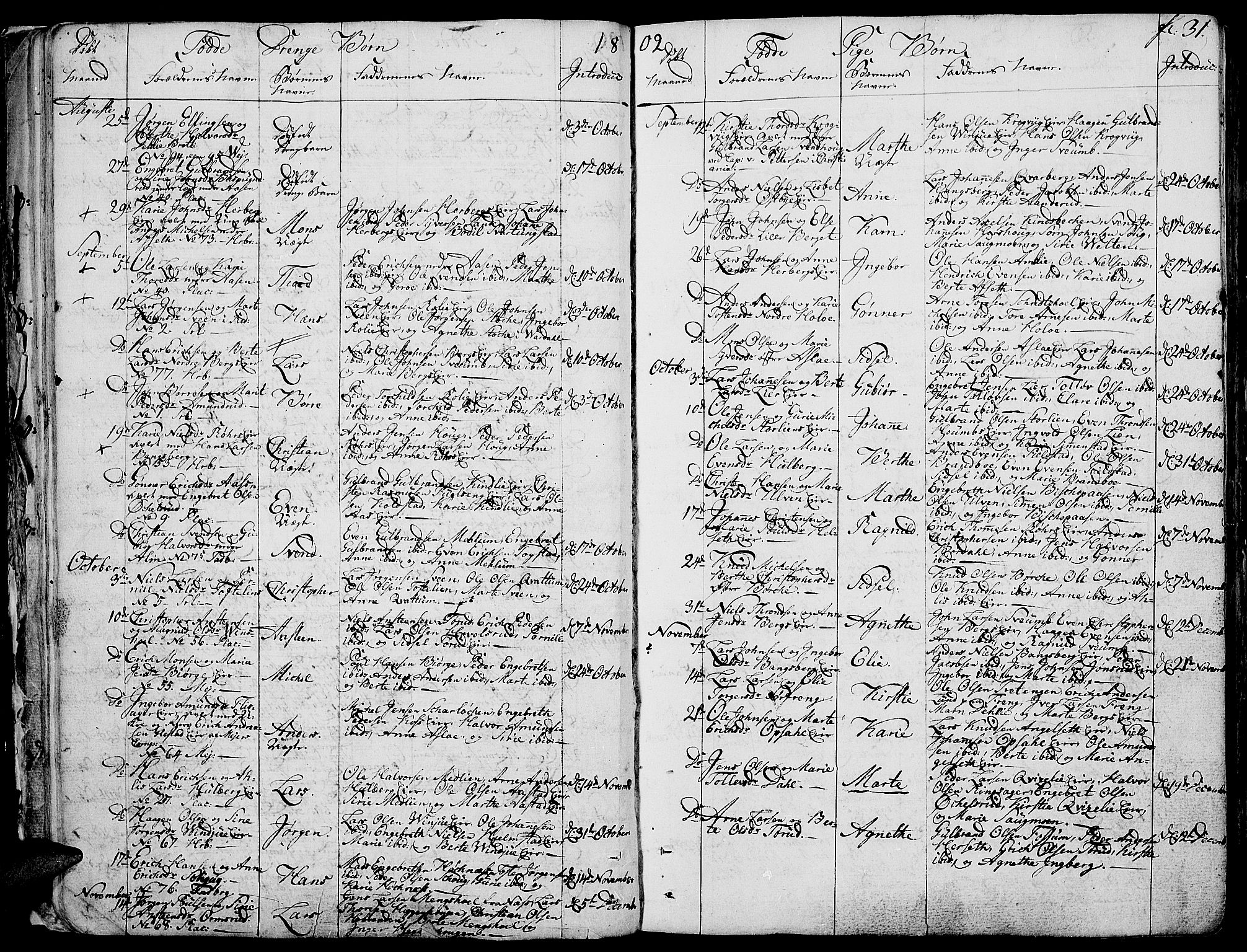 Ringsaker prestekontor, AV/SAH-PREST-014/K/Ka/L0004: Parish register (official) no. 4, 1799-1814, p. 31