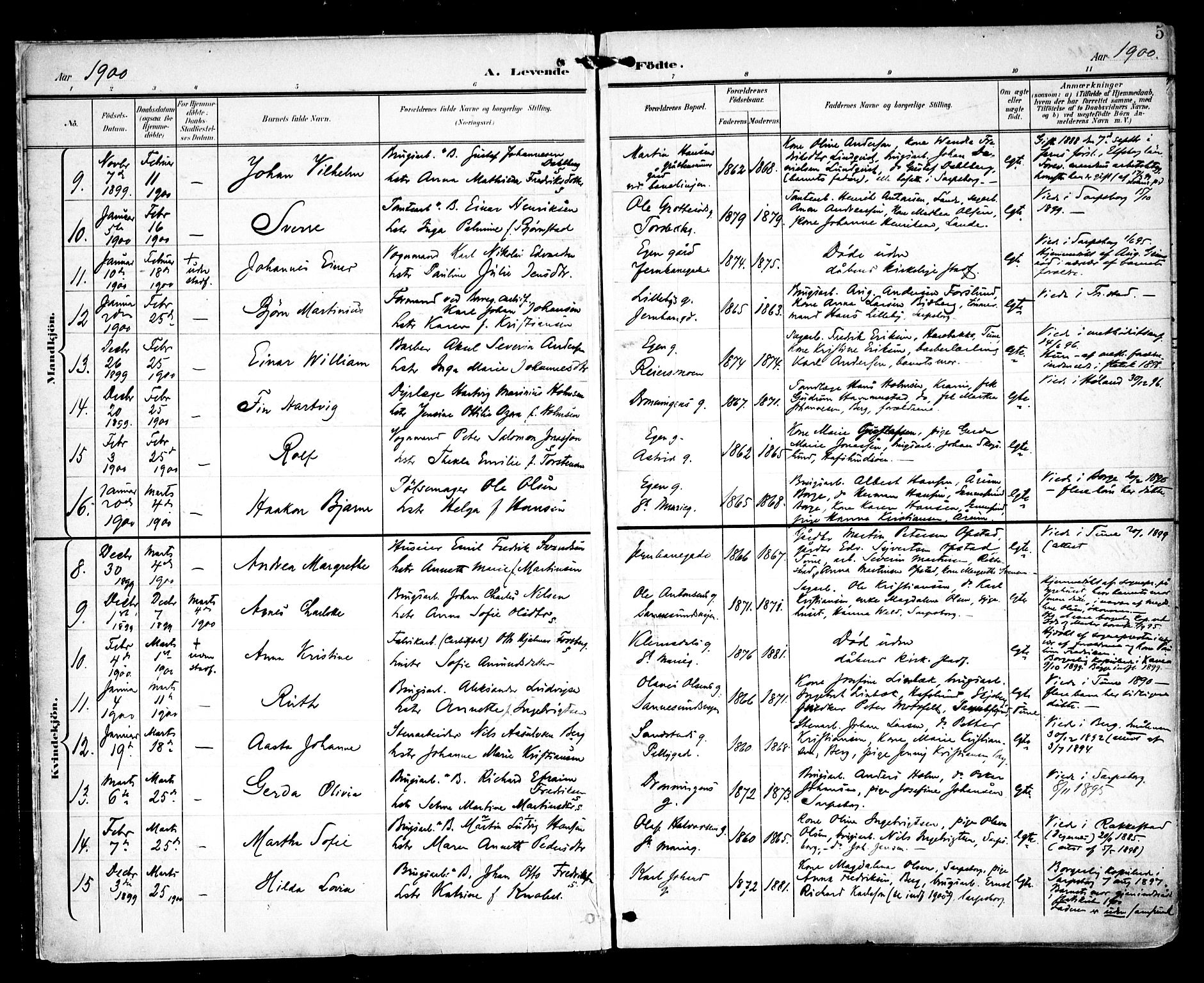 Sarpsborg prestekontor Kirkebøker, AV/SAO-A-2006/F/Fa/L0005: Parish register (official) no. 5, 1900-1909, p. 5