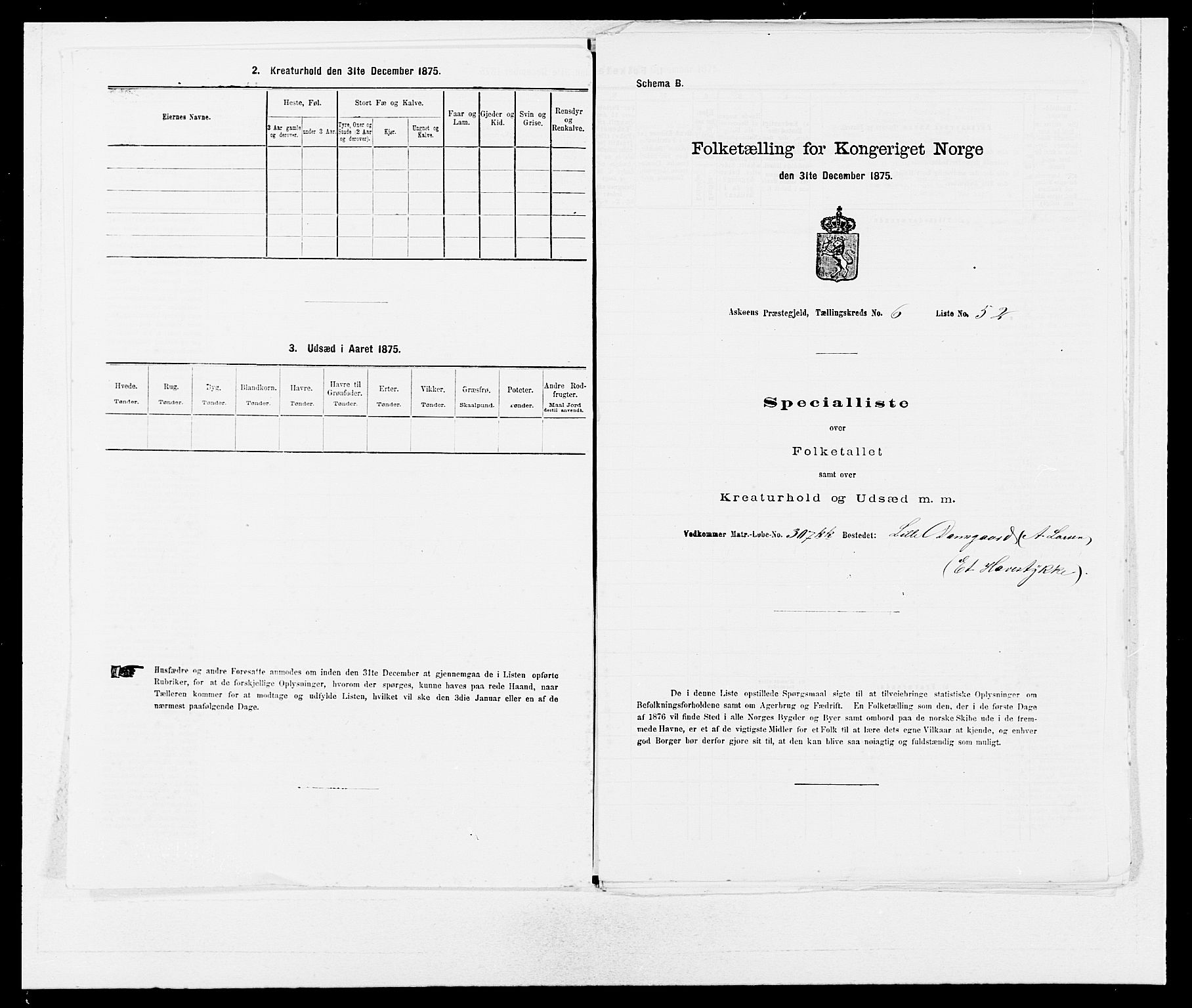 SAB, 1875 census for 1247P Askøy, 1875, p. 899