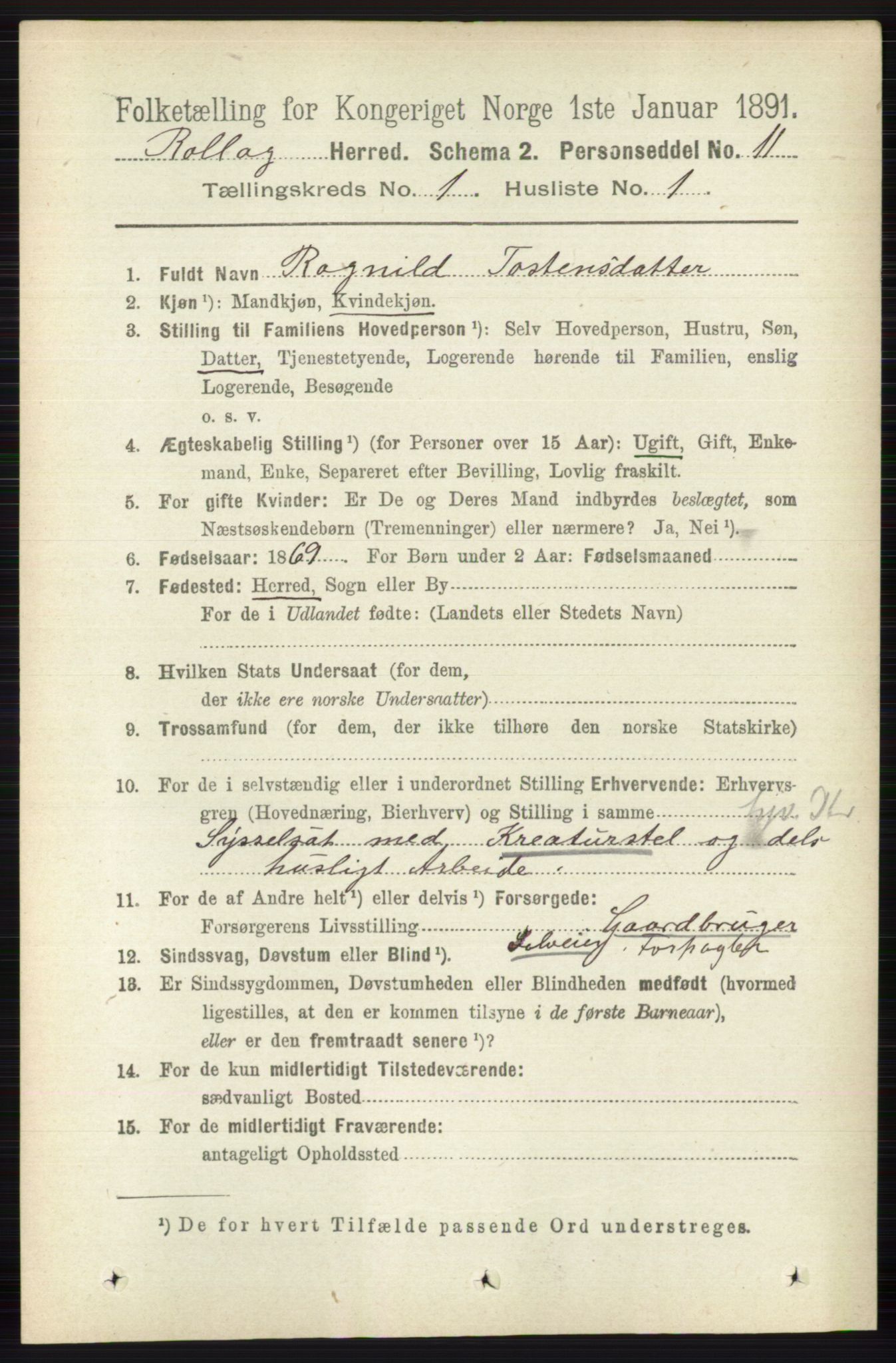 RA, 1891 census for 0632 Rollag, 1891, p. 82