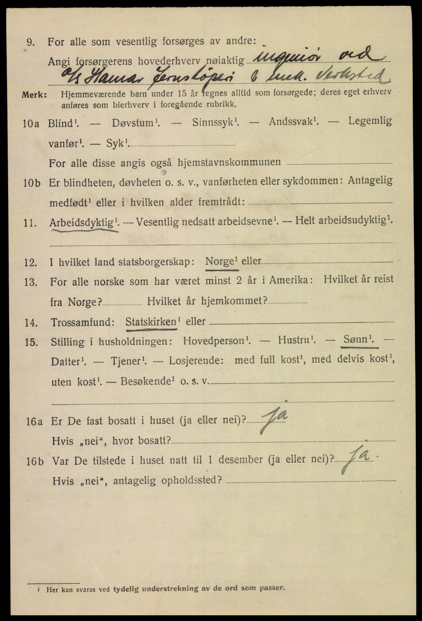 SAH, 1920 census for Hamar, 1920, p. 5126