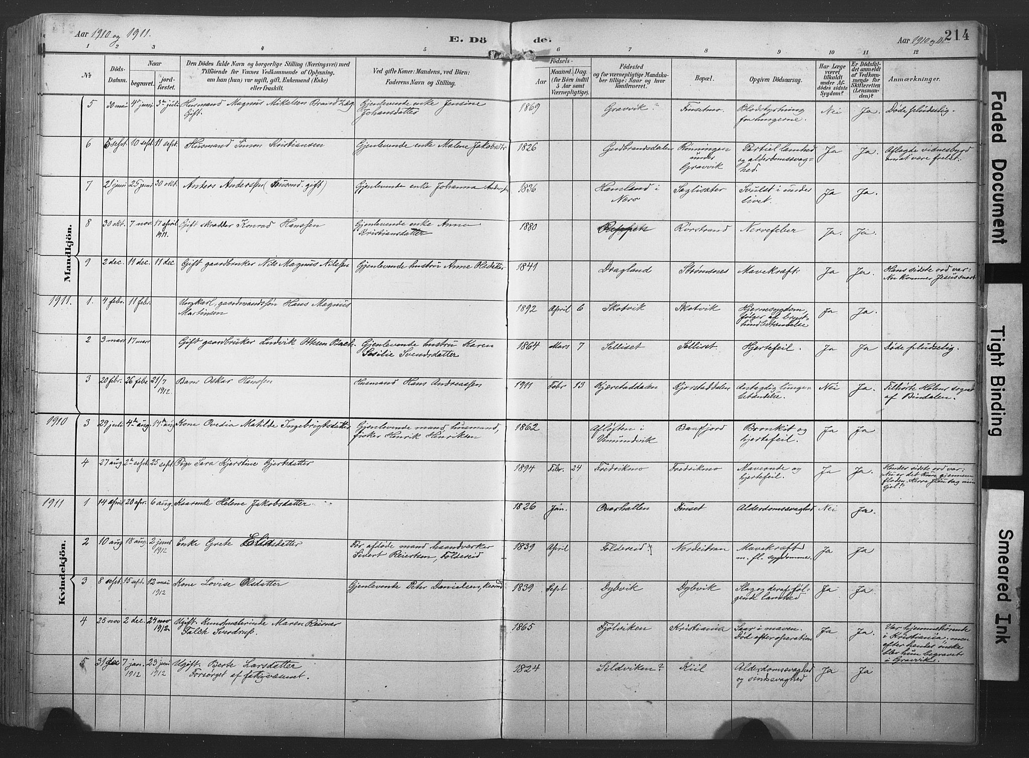 Ministerialprotokoller, klokkerbøker og fødselsregistre - Nord-Trøndelag, SAT/A-1458/789/L0706: Parish register (copy) no. 789C01, 1888-1931, p. 214