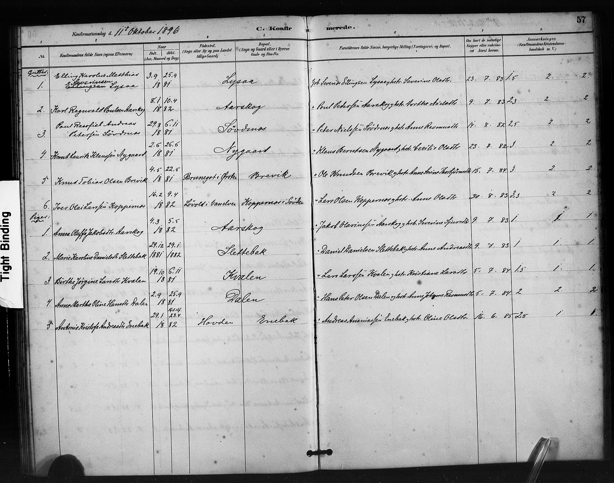 Ministerialprotokoller, klokkerbøker og fødselsregistre - Møre og Romsdal, AV/SAT-A-1454/504/L0056: Parish register (official) no. 504A03, 1884-1904, p. 57