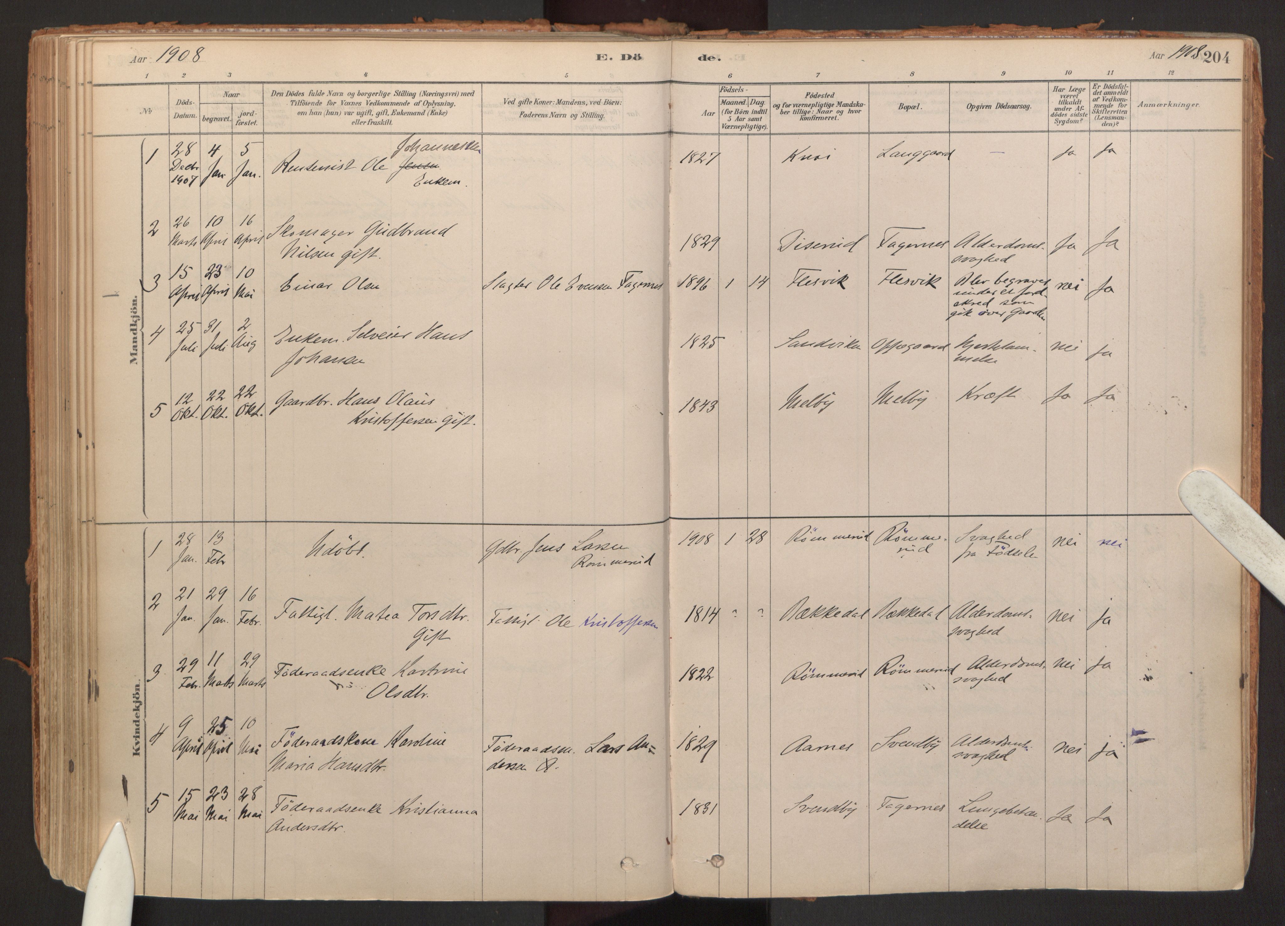 Hurdal prestekontor Kirkebøker, SAO/A-10889/F/Fb/L0003: Parish register (official) no. II 3, 1878-1920, p. 204