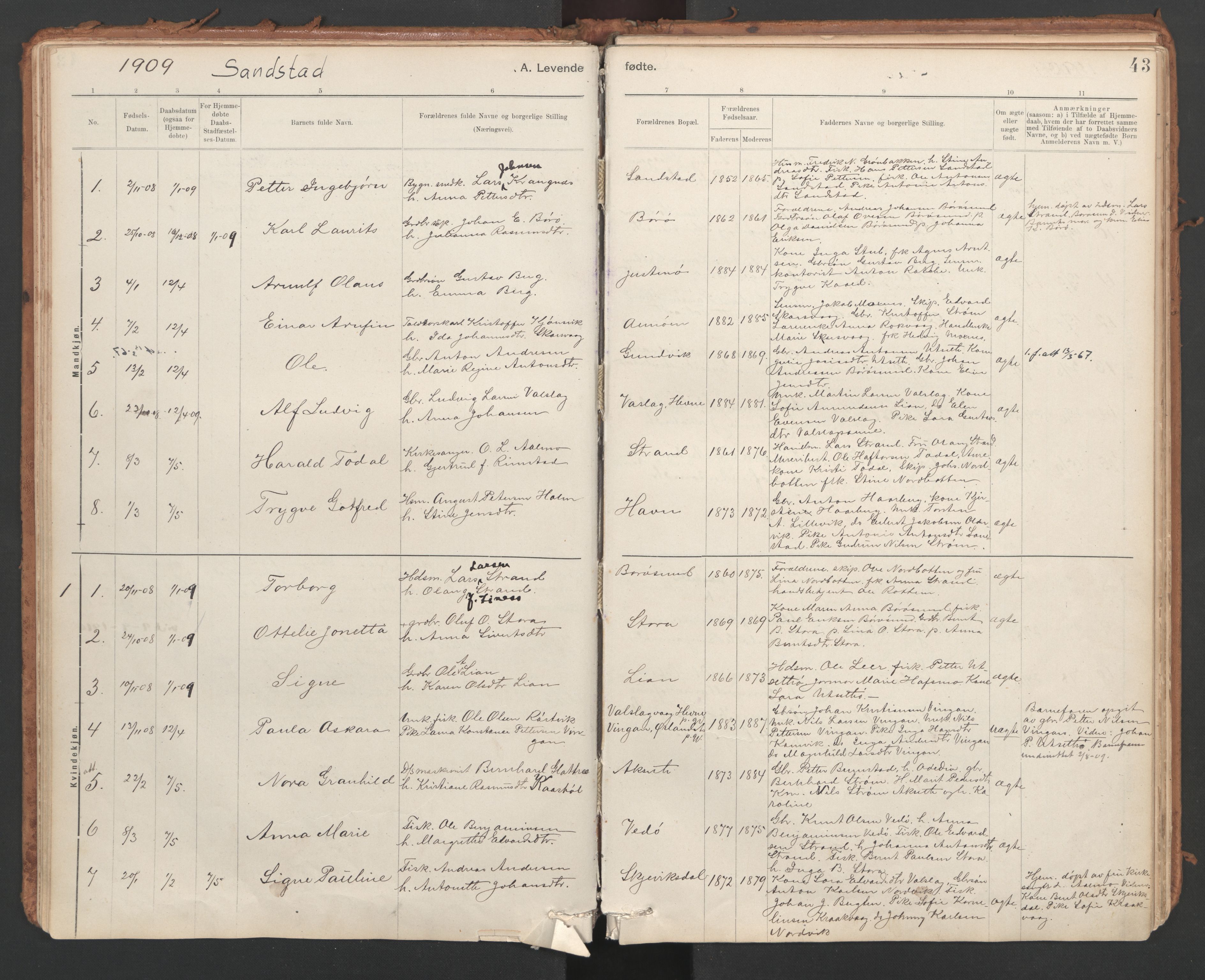 Ministerialprotokoller, klokkerbøker og fødselsregistre - Sør-Trøndelag, SAT/A-1456/639/L0572: Parish register (official) no. 639A01, 1890-1920, p. 43