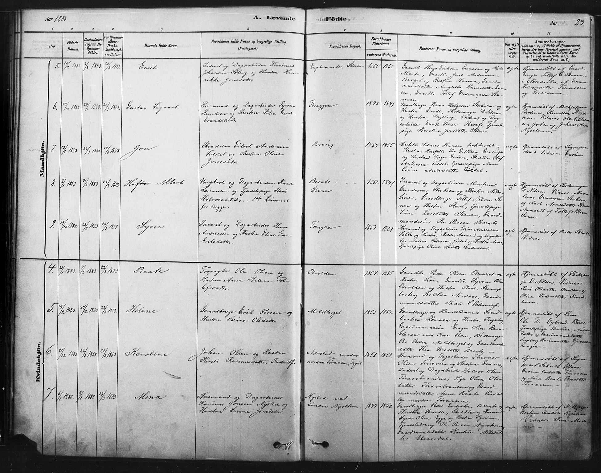 Åmot prestekontor, Hedmark, AV/SAH-PREST-056/H/Ha/Haa/L0012: Parish register (official) no. 12, 1878-1901, p. 23