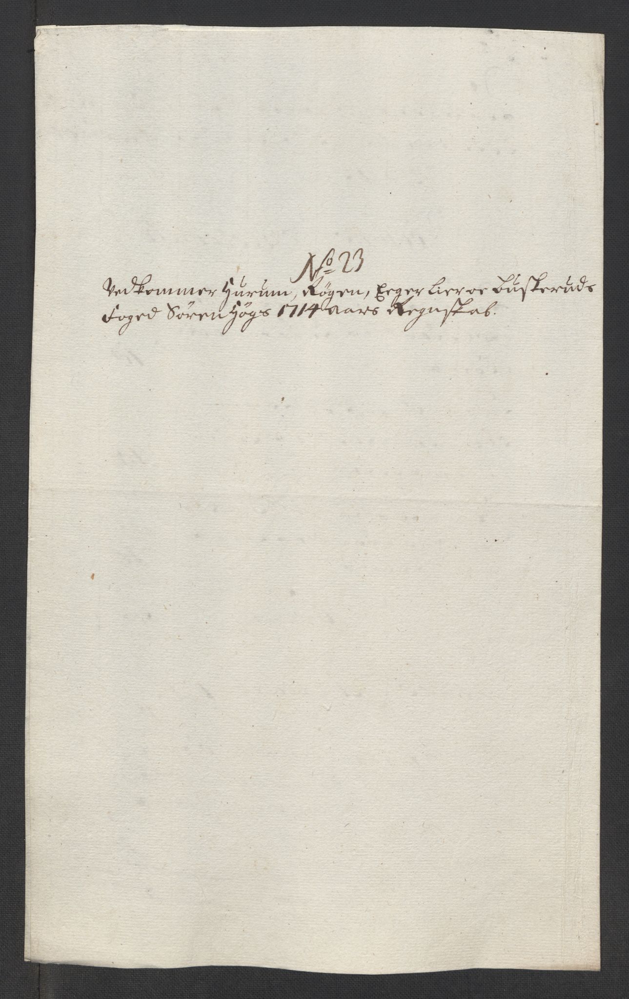 Rentekammeret inntil 1814, Reviderte regnskaper, Fogderegnskap, RA/EA-4092/R31/L1709: Fogderegnskap Hurum, Røyken, Eiker, Lier og Buskerud, 1714, p. 101