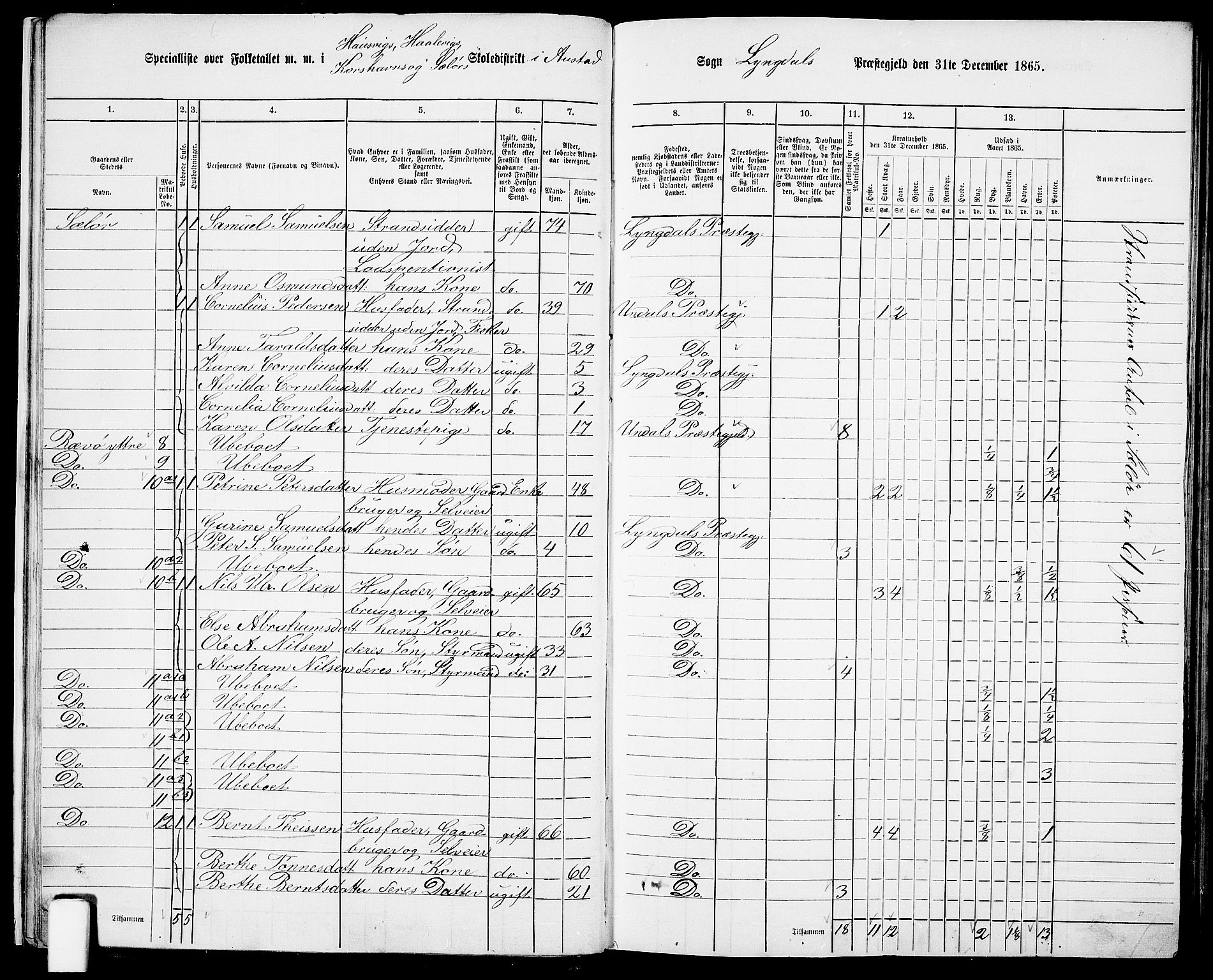 RA, 1865 census for Lyngdal, 1865, p. 23