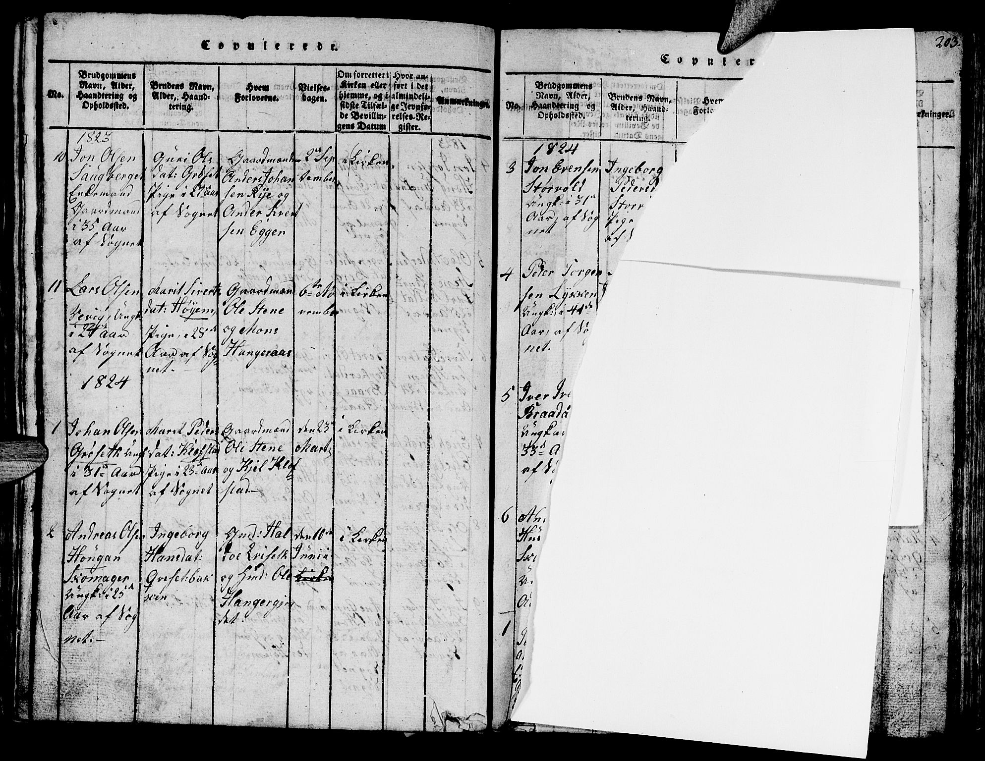 Ministerialprotokoller, klokkerbøker og fødselsregistre - Sør-Trøndelag, SAT/A-1456/612/L0385: Parish register (copy) no. 612C01, 1816-1845, p. 202