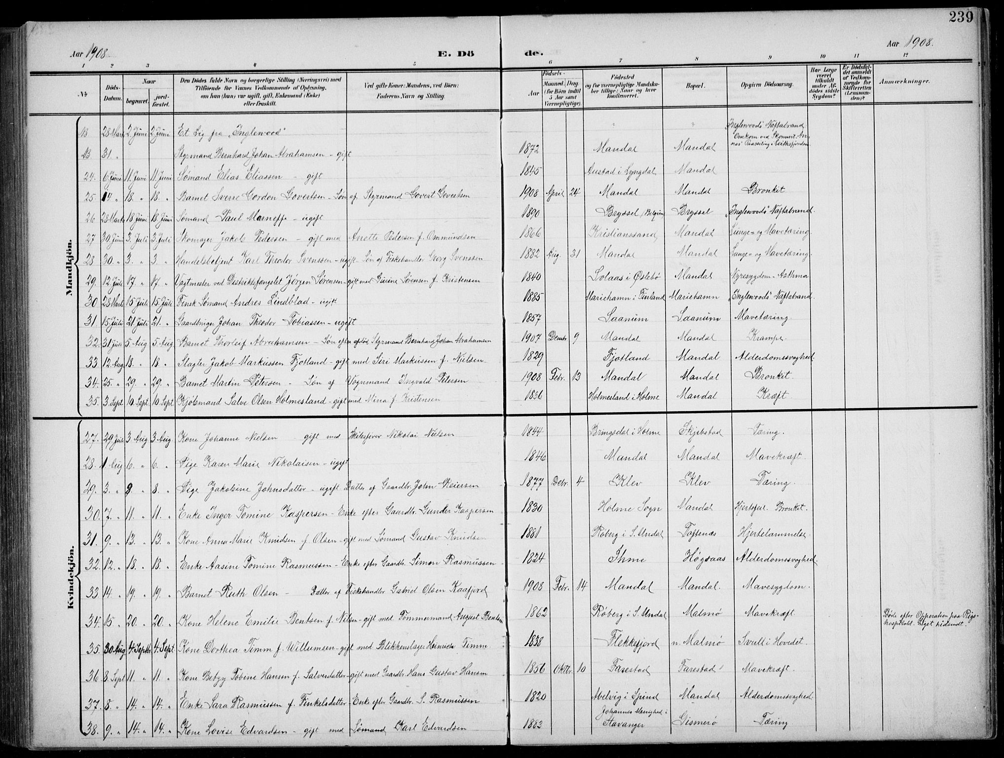 Mandal sokneprestkontor, AV/SAK-1111-0030/F/Fb/Fba/L0012: Parish register (copy) no. B 6, 1899-1918, p. 239