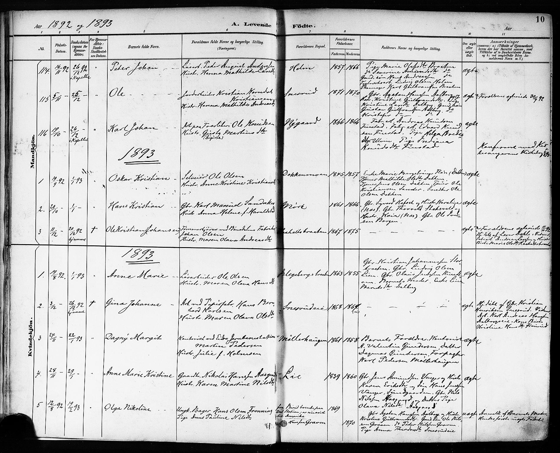 Eidsvoll prestekontor Kirkebøker, SAO/A-10888/F/Fa/L0004: Parish register (official) no. I 4, 1891-1900, p. 10