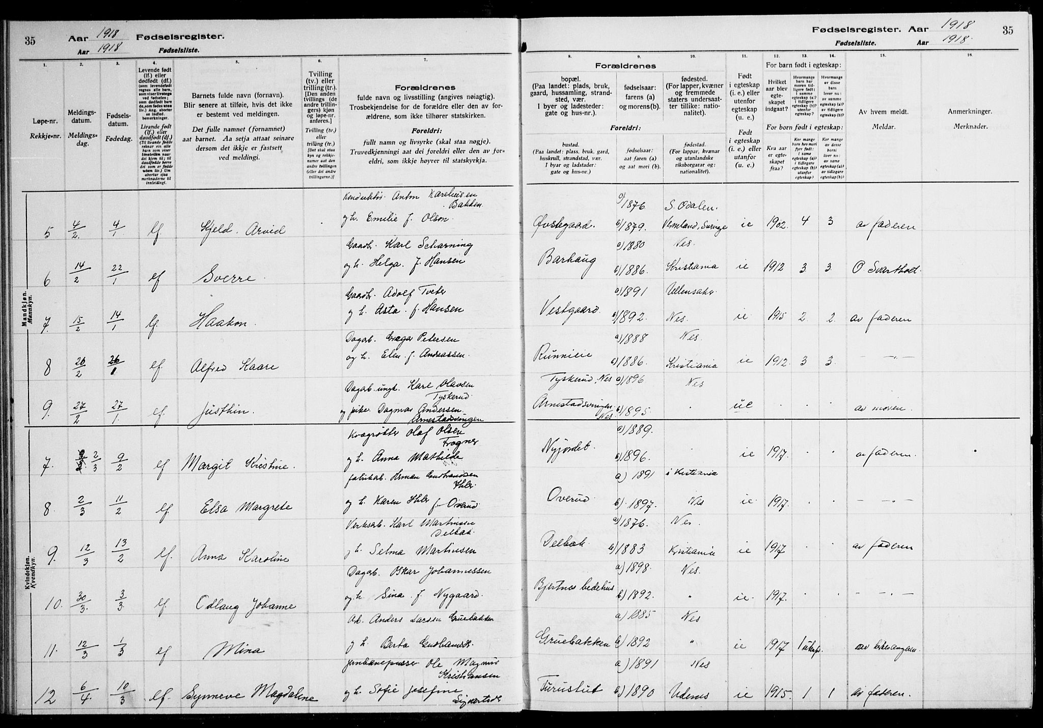 Nes prestekontor Kirkebøker, AV/SAO-A-10410/J/Ja/L0001: Birth register no. 1, 1916-1926, p. 35