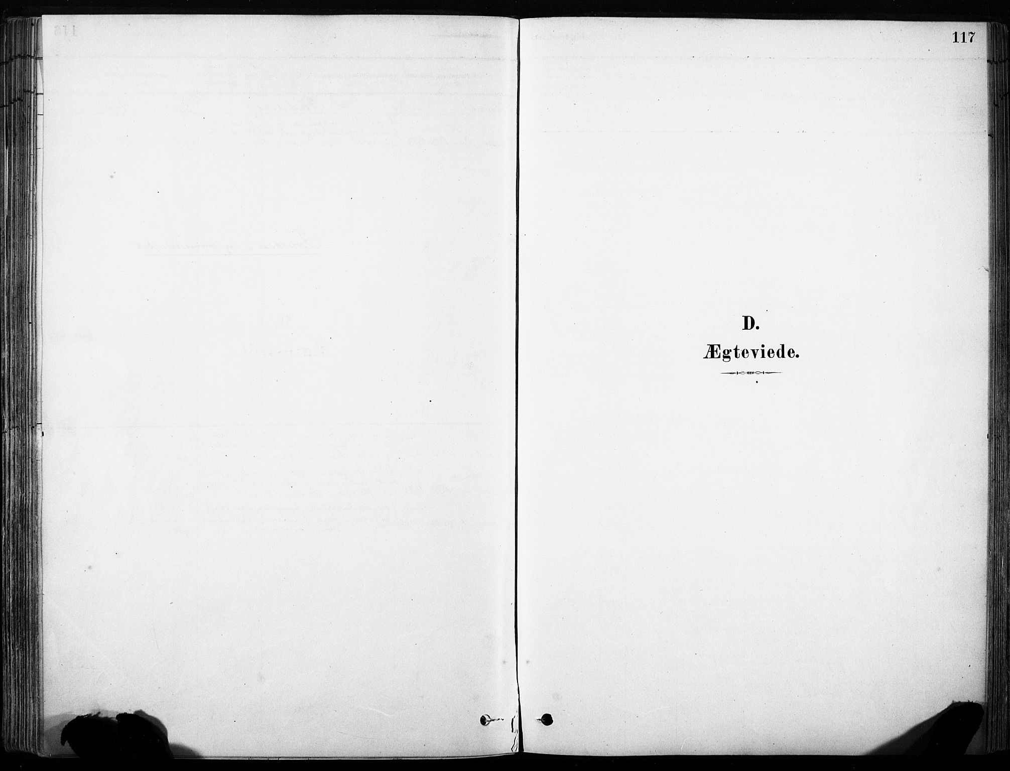 Hof prestekontor, SAH/PREST-038/H/Ha/Haa/L0011: Parish register (official) no. 11, 1879-1911, p. 117