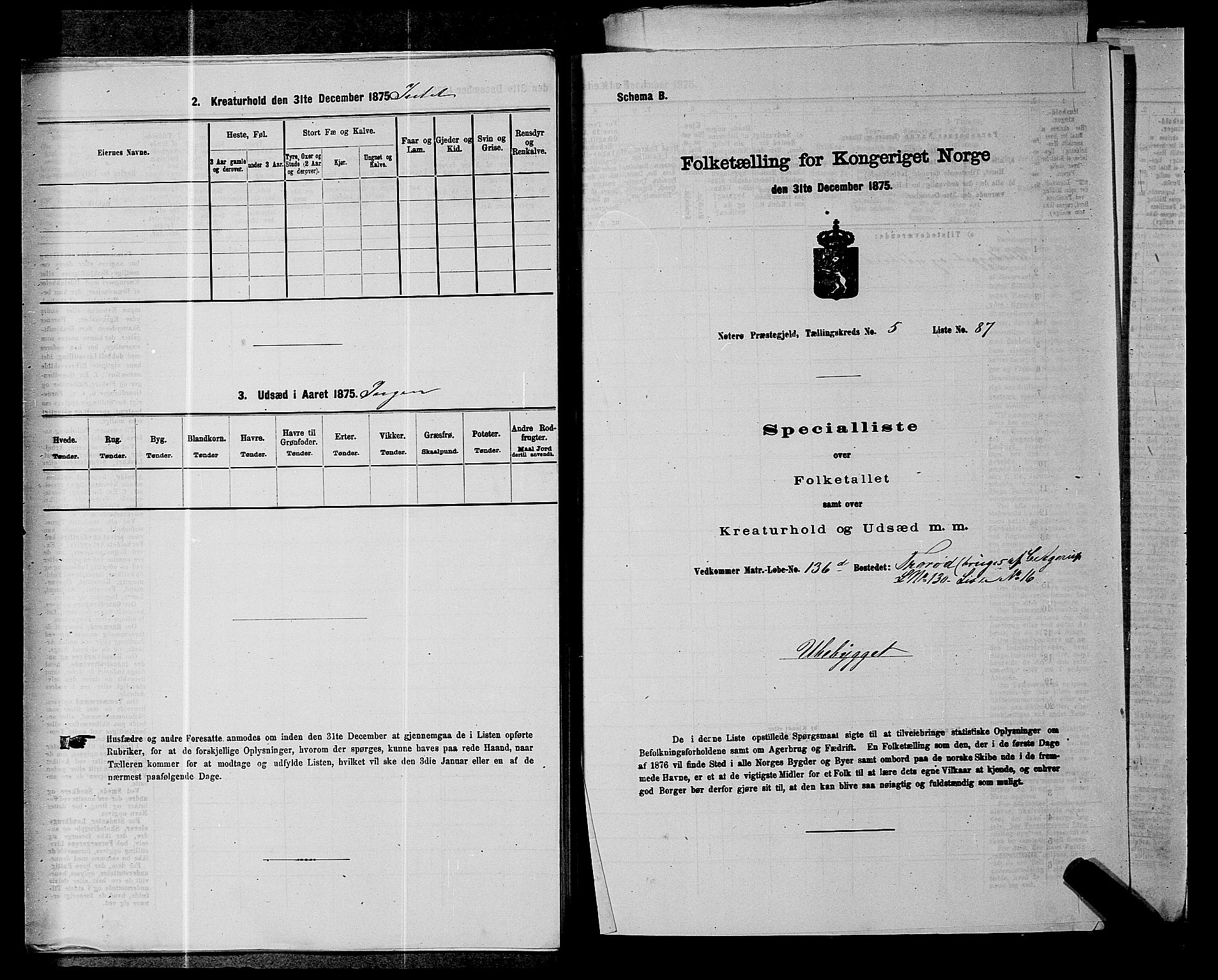 SAKO, 1875 census for 0722P Nøtterøy, 1875, p. 1146