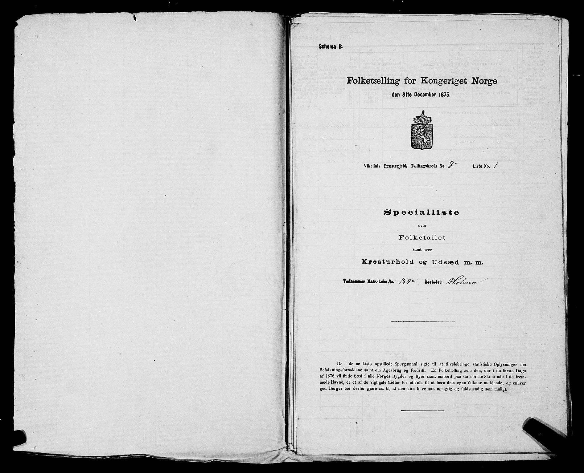 SAST, 1875 census for 1157P Vikedal, 1875, p. 905