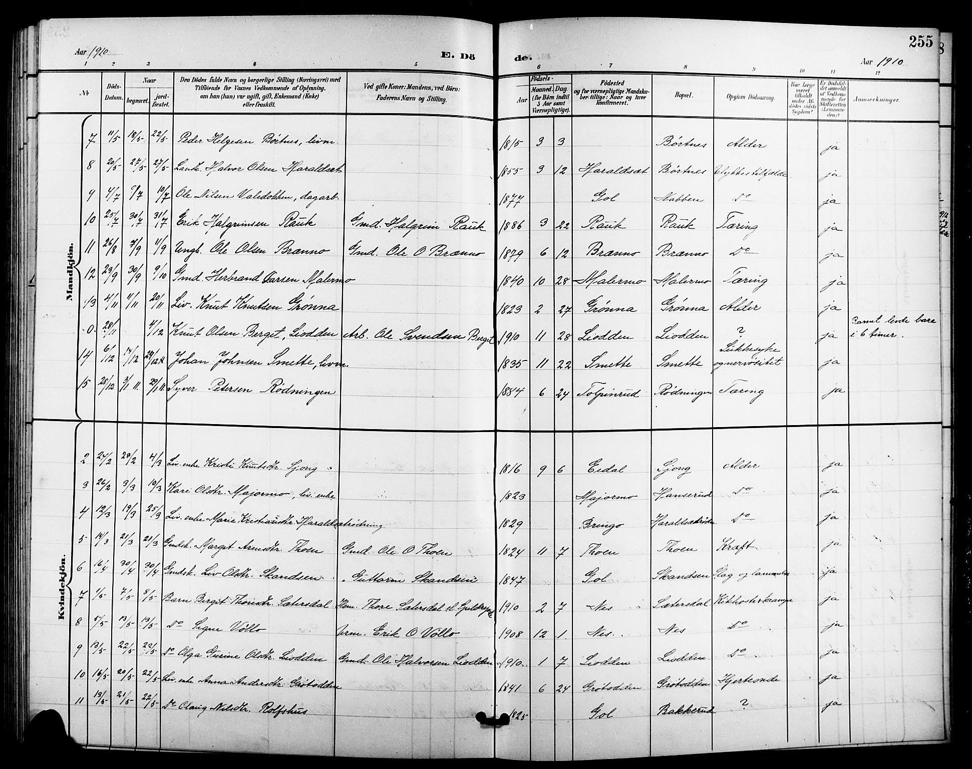 Nes kirkebøker, AV/SAKO-A-236/G/Ga/L0004: Parish register (copy) no. I 4, 1900-1925, p. 255