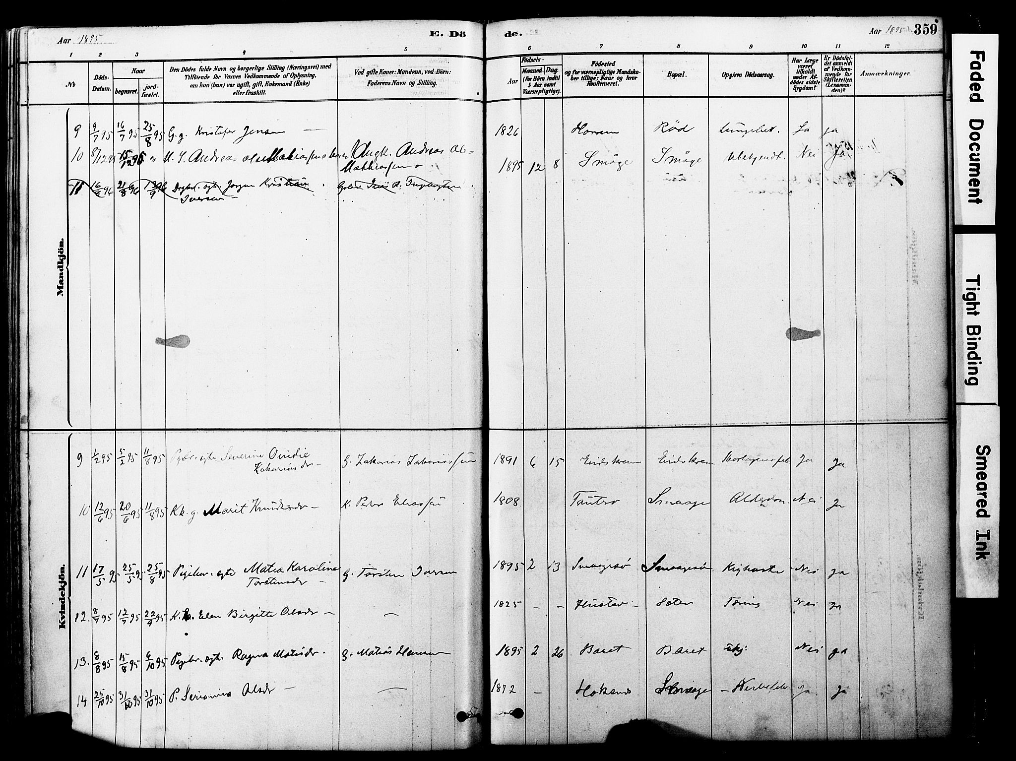 Ministerialprotokoller, klokkerbøker og fødselsregistre - Møre og Romsdal, AV/SAT-A-1454/560/L0721: Parish register (official) no. 560A05, 1878-1917, p. 359