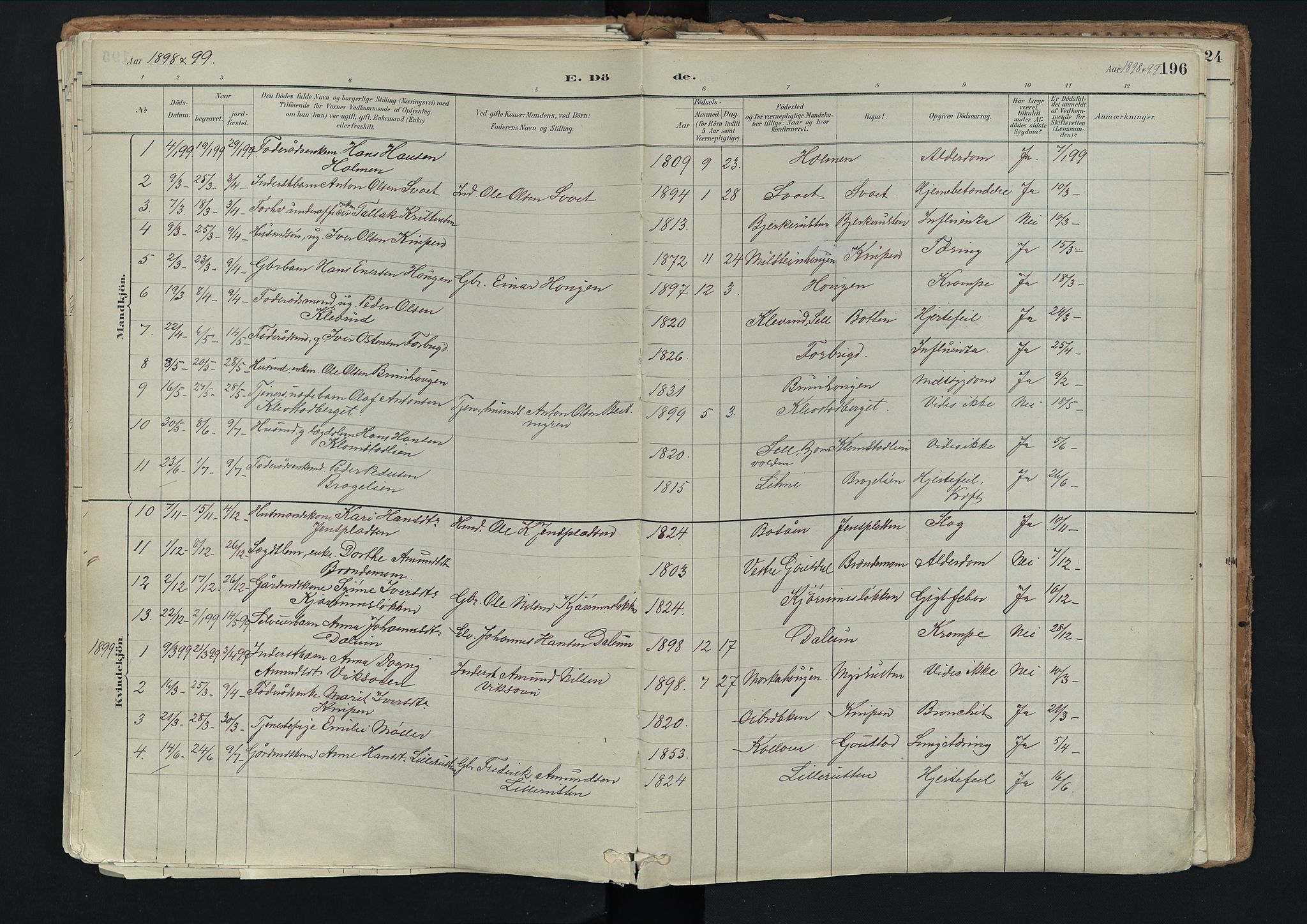 Nord-Fron prestekontor, SAH/PREST-080/H/Ha/Haa/L0003: Parish register (official) no. 3, 1884-1914, p. 196