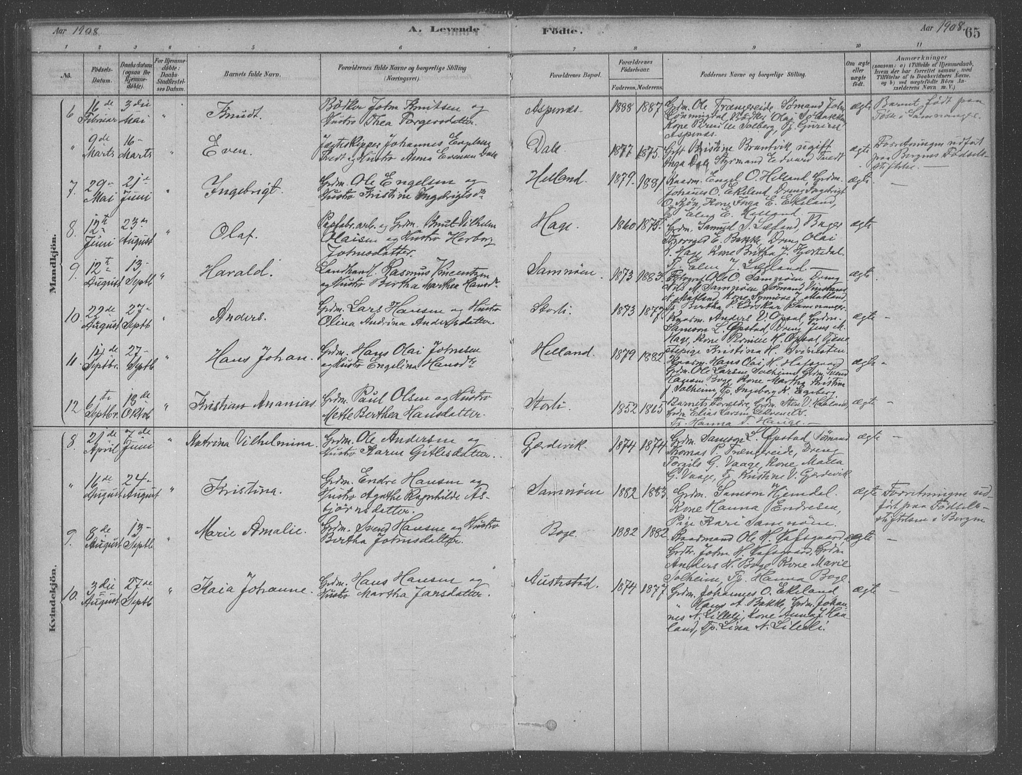 Fusa sokneprestembete, SAB/A-75401/H/Haa: Parish register (official) no. B 1, 1880-1938, p. 65