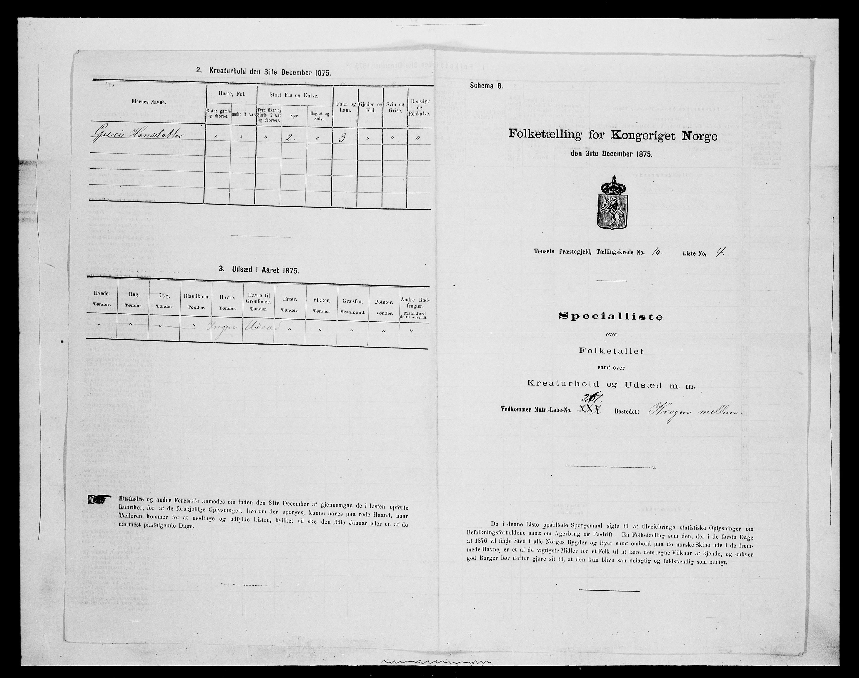 SAH, 1875 census for 0437P Tynset, 1875, p. 970