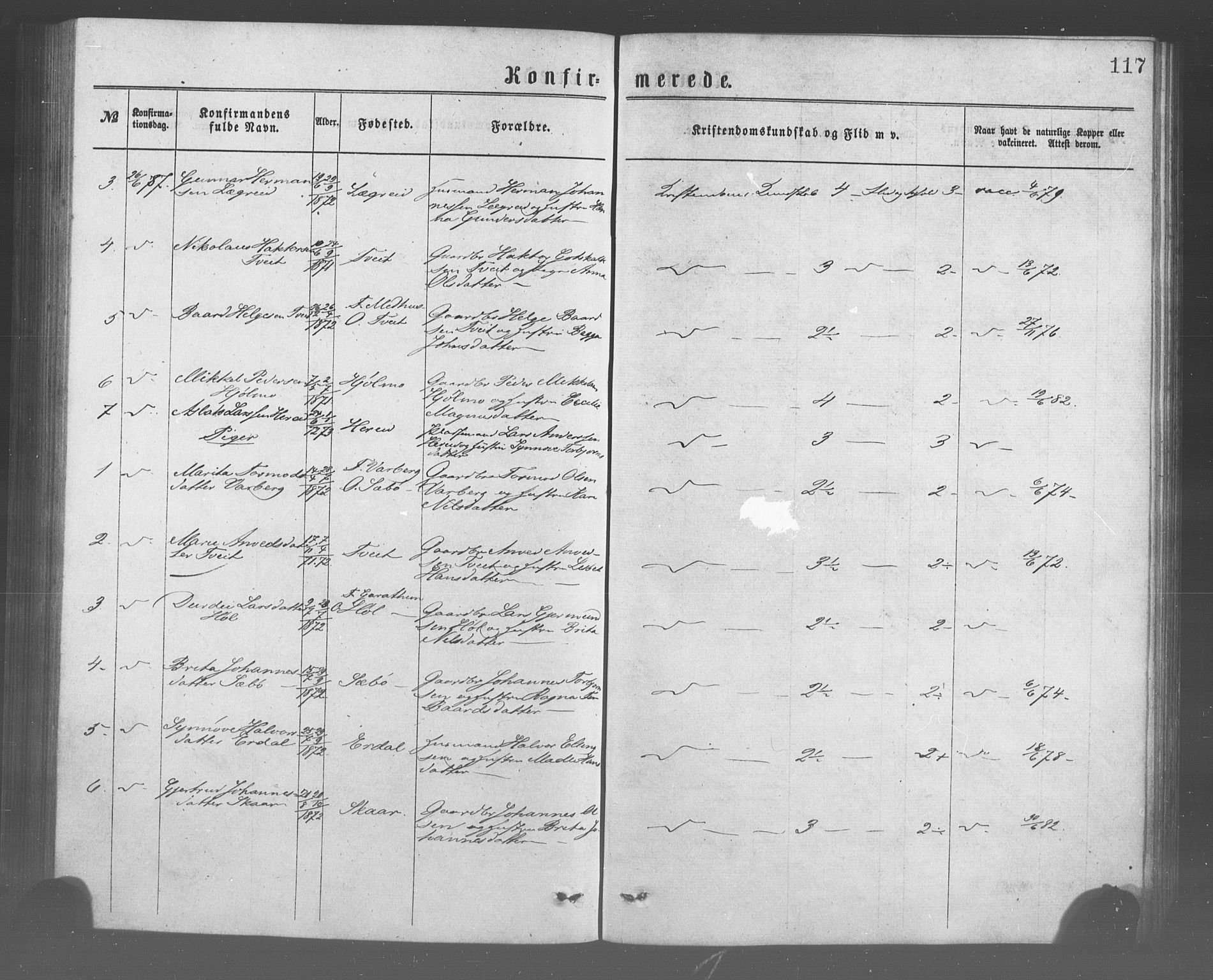 Ulvik sokneprestembete, SAB/A-78801/H/Haa: Parish register (official) no. A 17, 1873-1891, p. 117