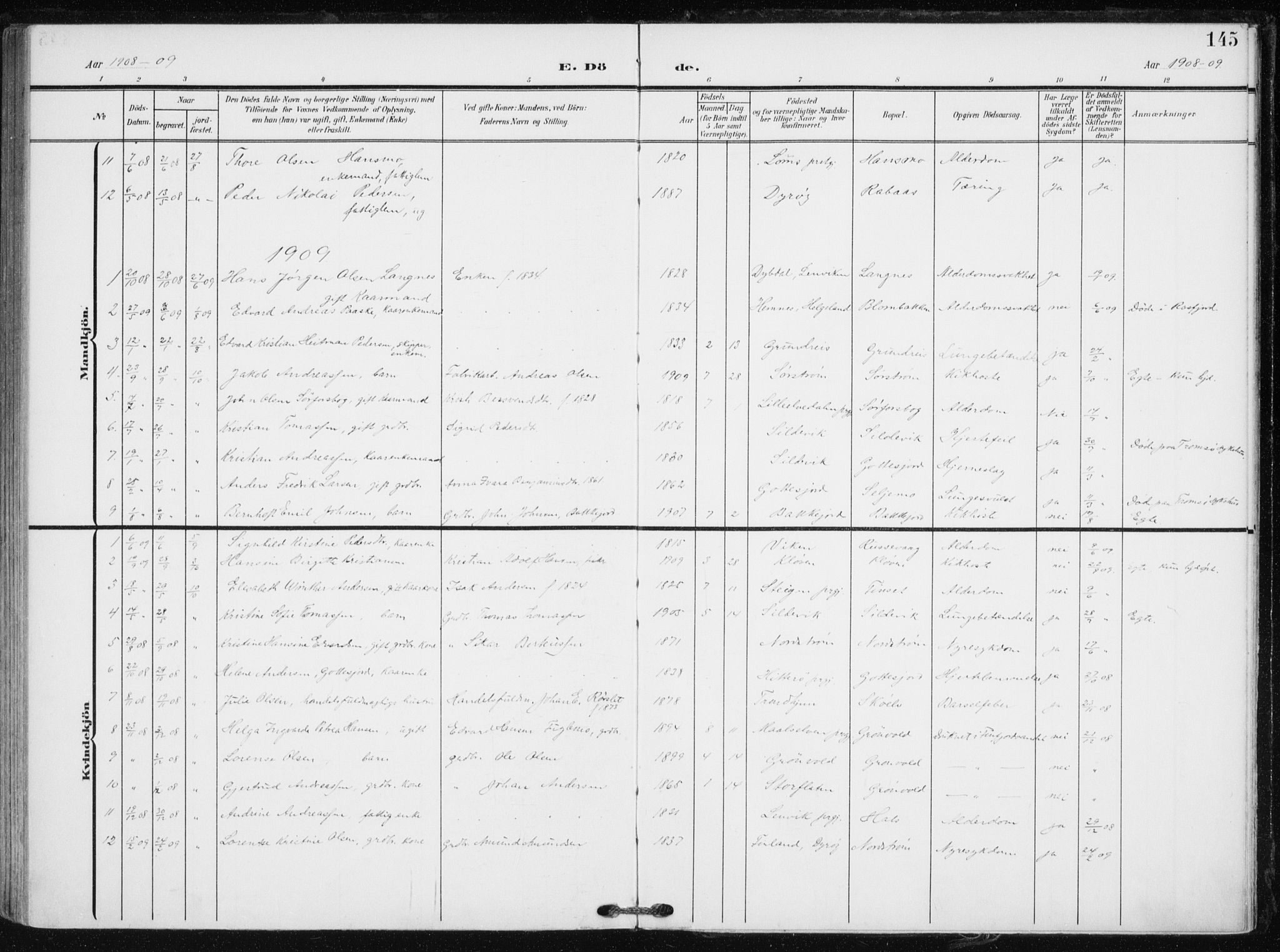 Tranøy sokneprestkontor, SATØ/S-1313/I/Ia/Iaa/L0012kirke: Parish register (official) no. 12, 1905-1918, p. 145